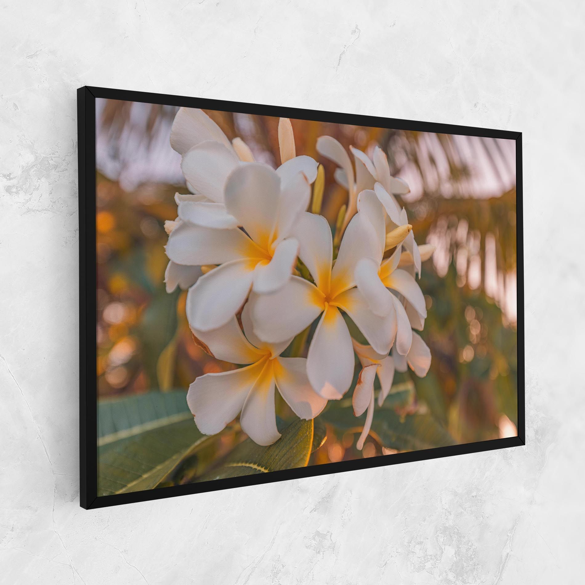 White Plumeria mockup 1