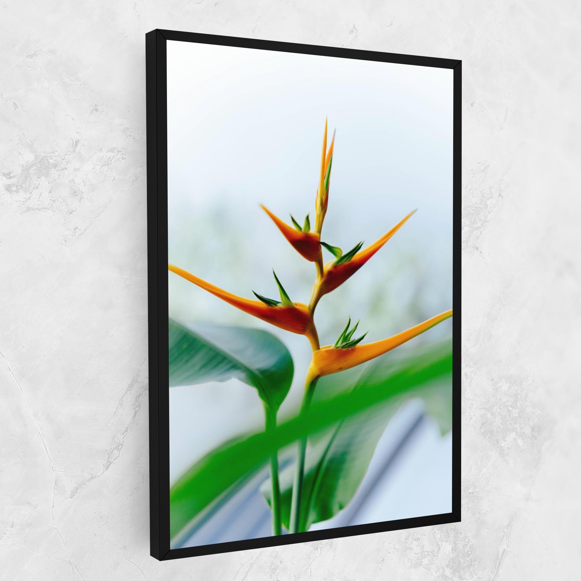 Exotic Orange Green mockup 1