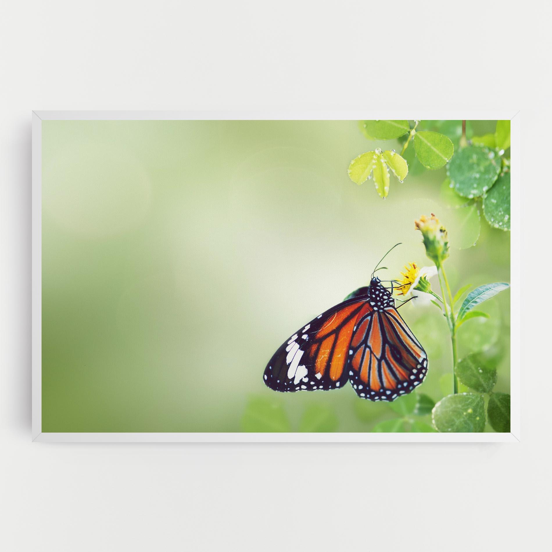 Картина на платно Butterfly Wild Plant mockup 0