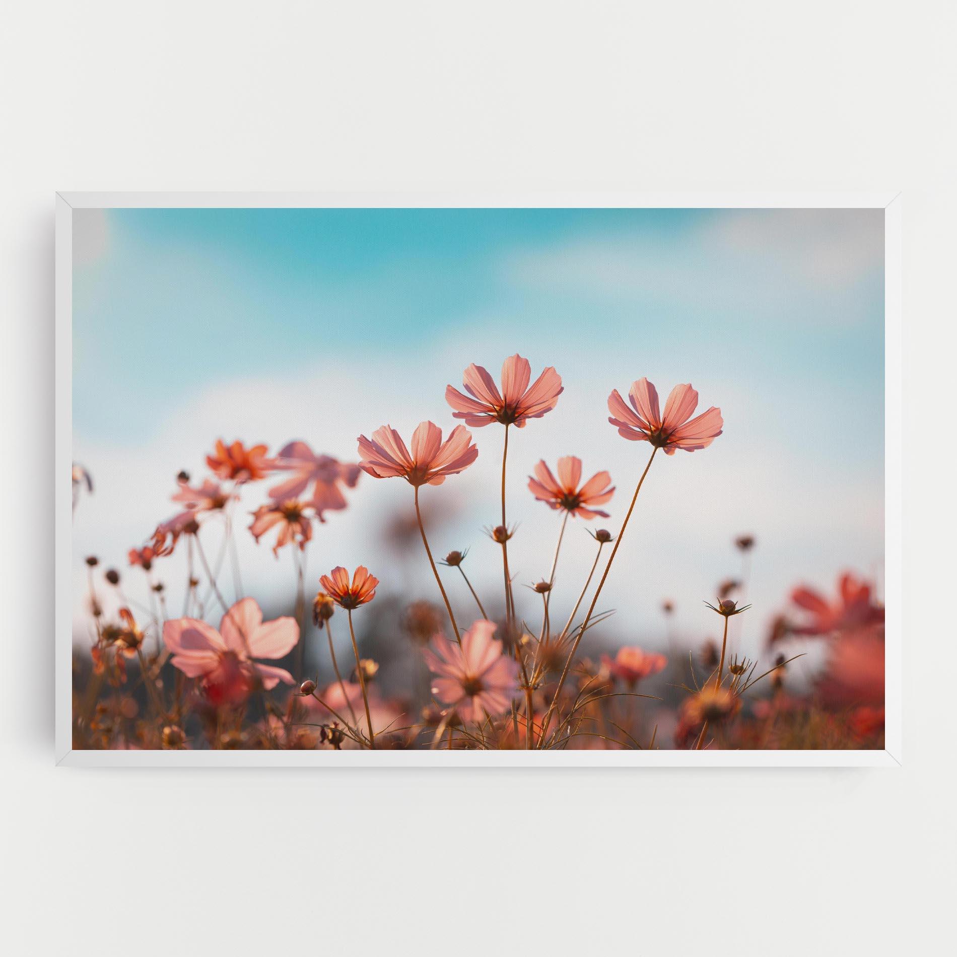 Картина на платно Cosmos Flowers Beautiful mockup 0