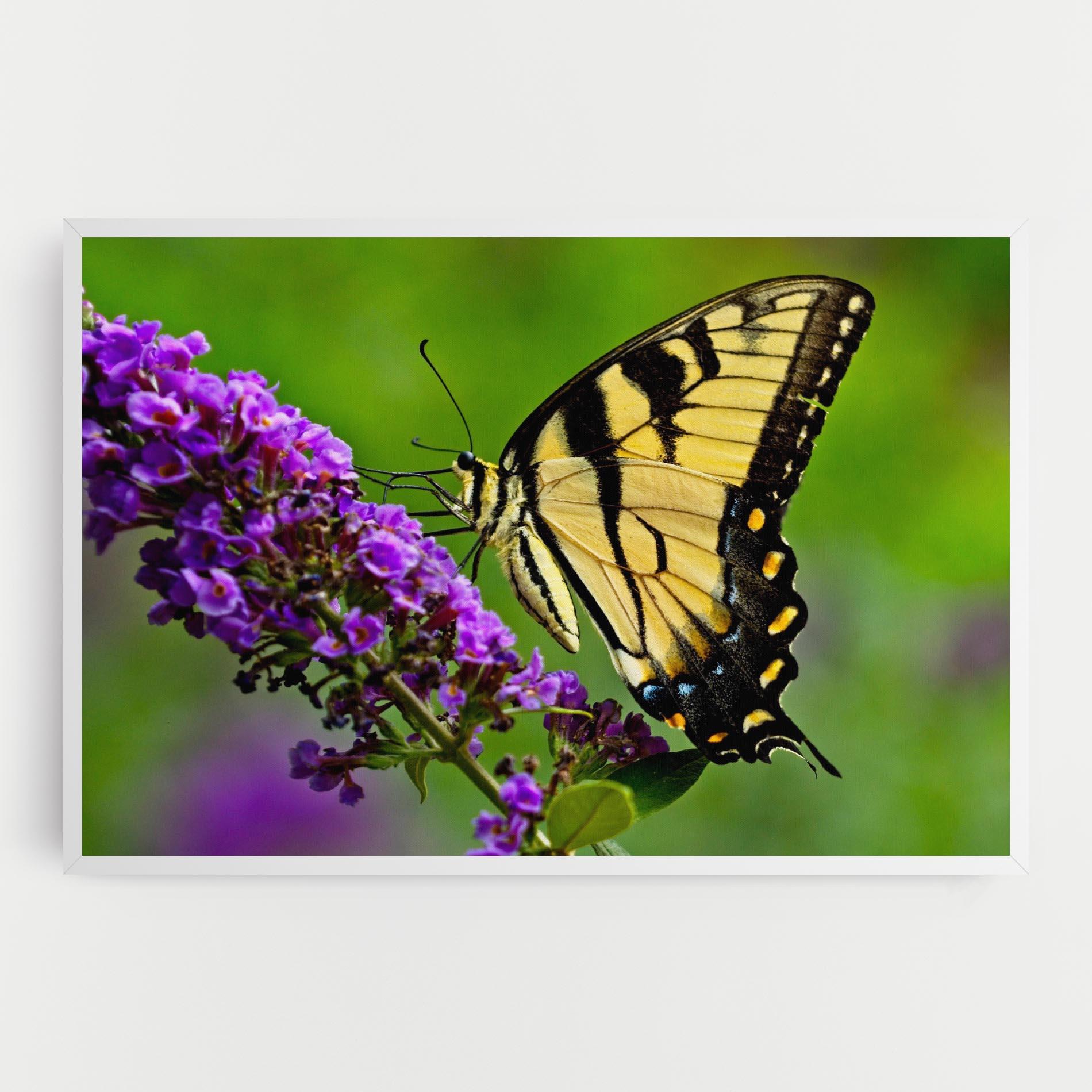 Картина на платно Cream Wild Butterfly mockup 0