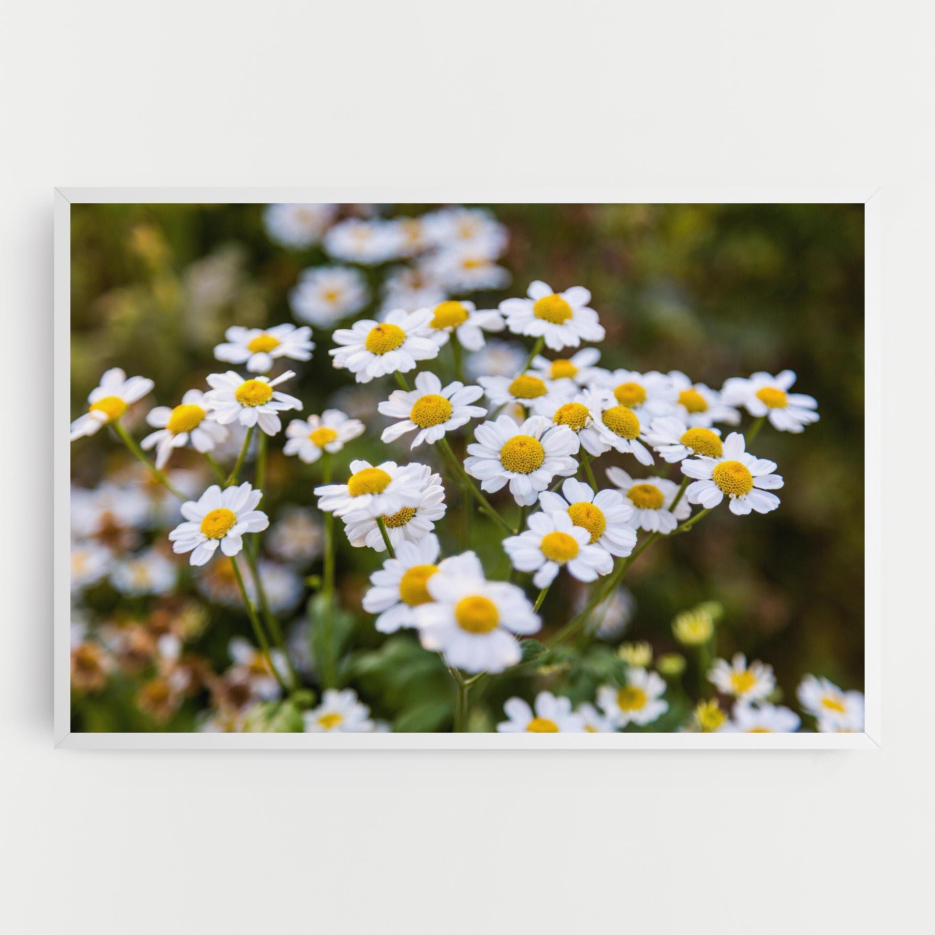 Картина на платно Flowers Garden mockup 0