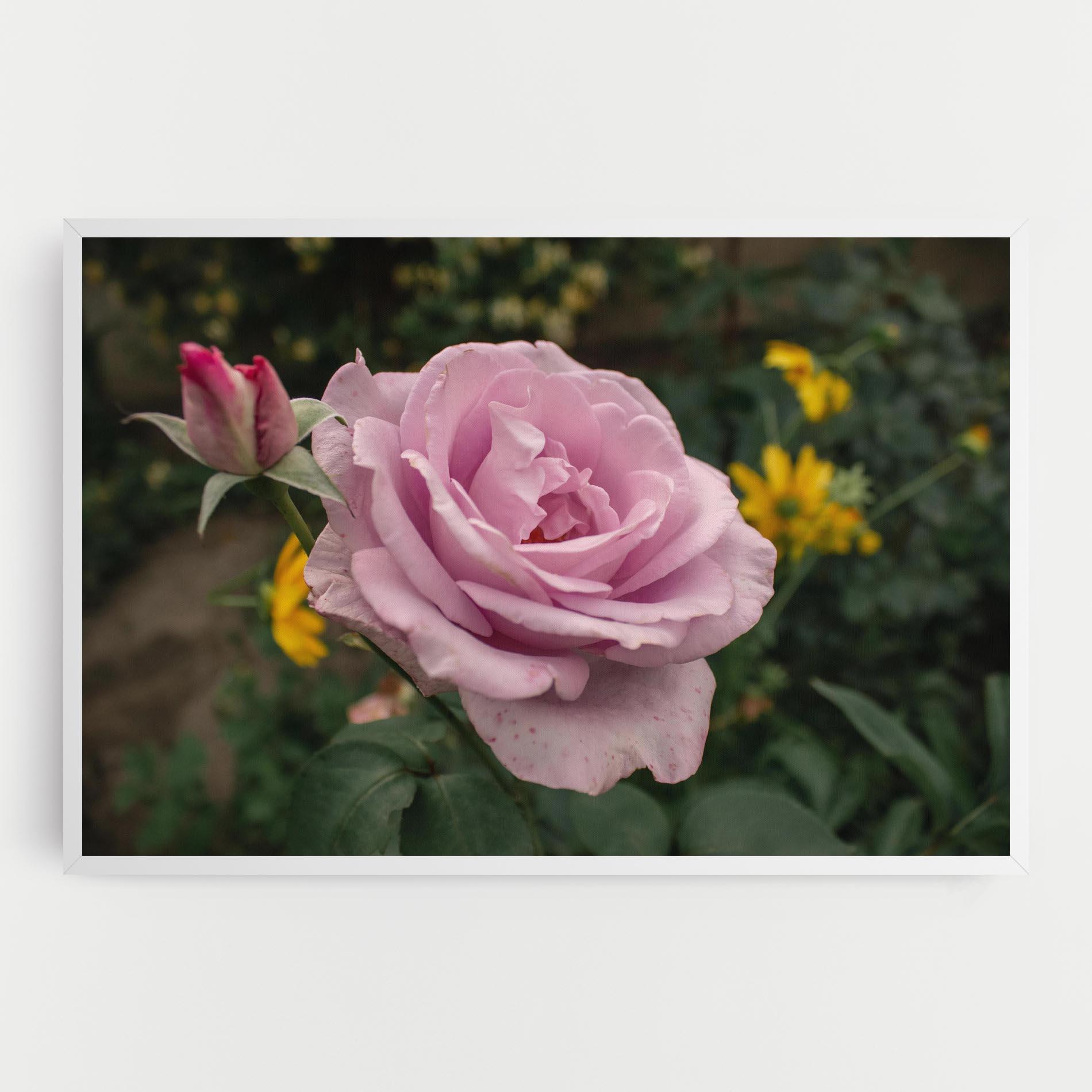 Картина на платно Garden Pink Rose mockup 0