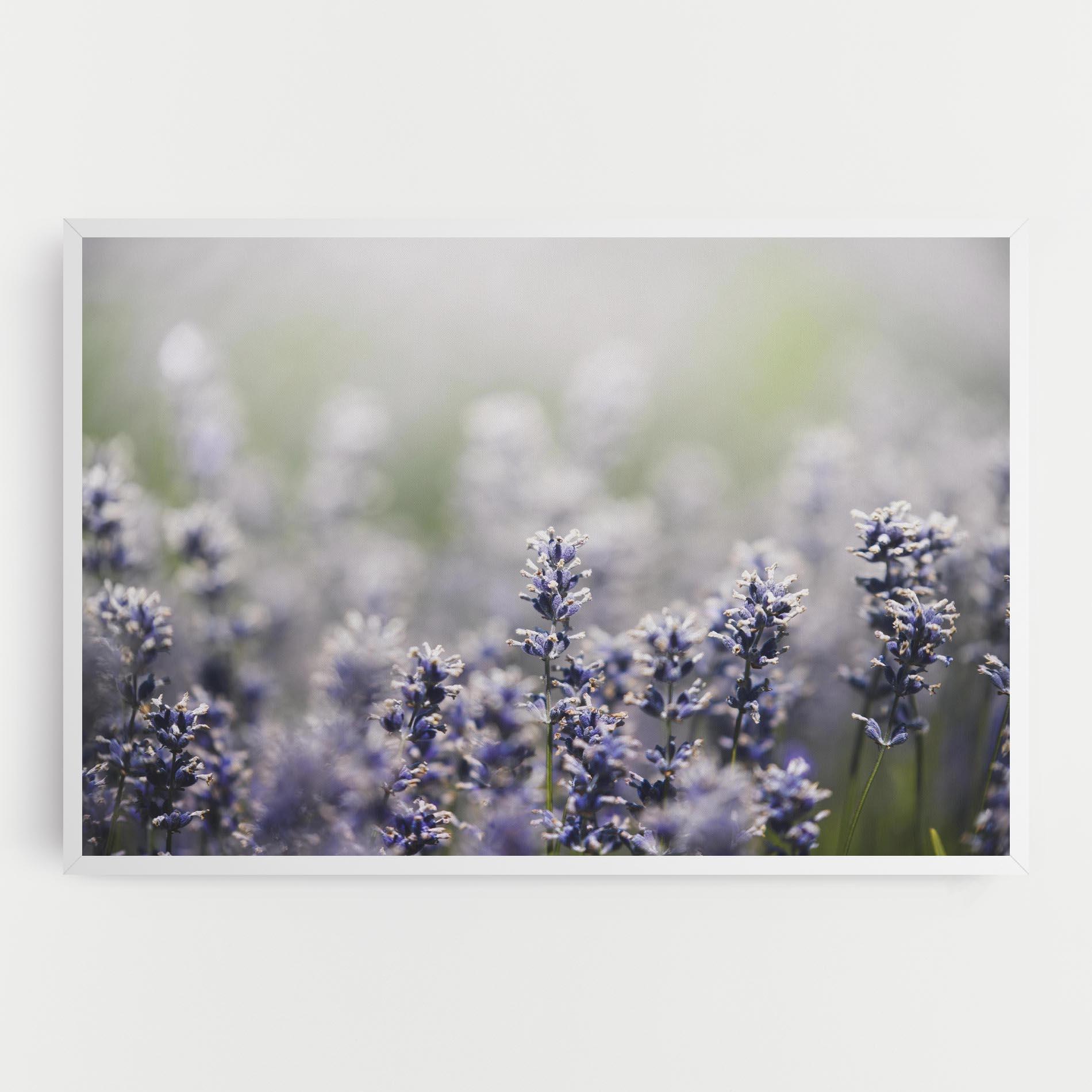 Картина на платно White Purple Wild mockup 0