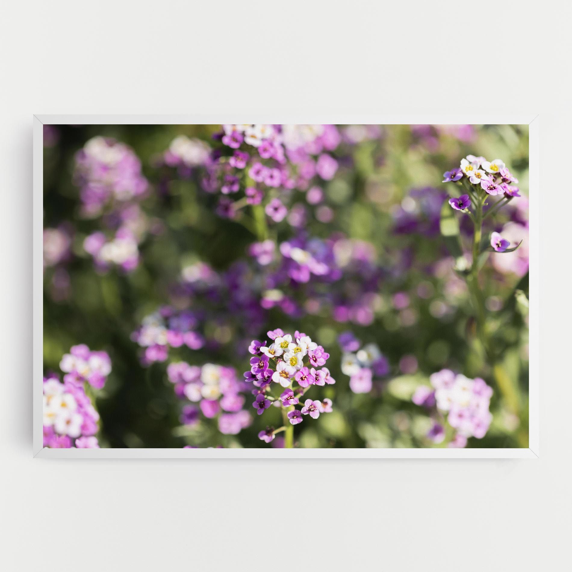 Wild Purple Field mockup 0