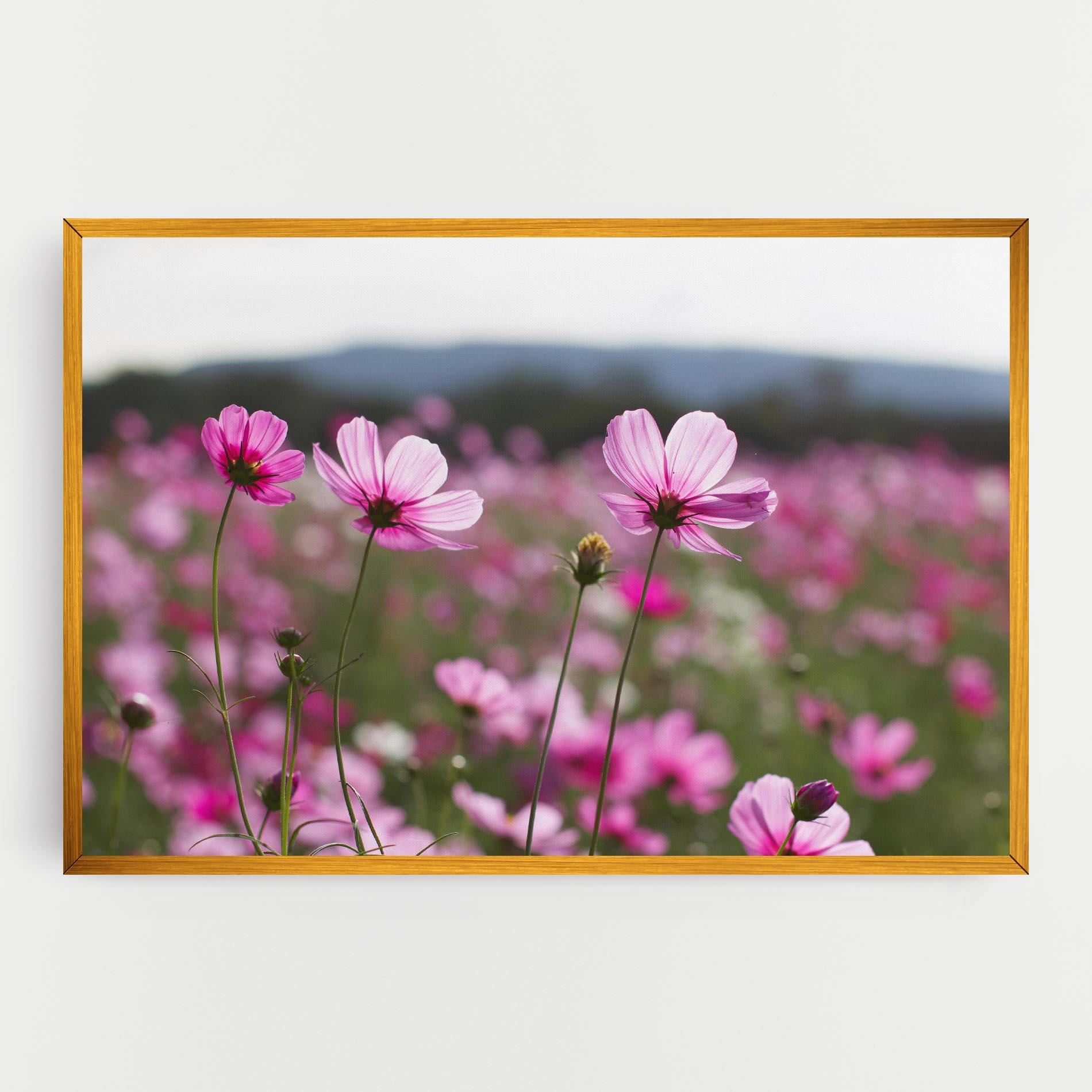 Картина на платно Cosmos Flower mockup 0