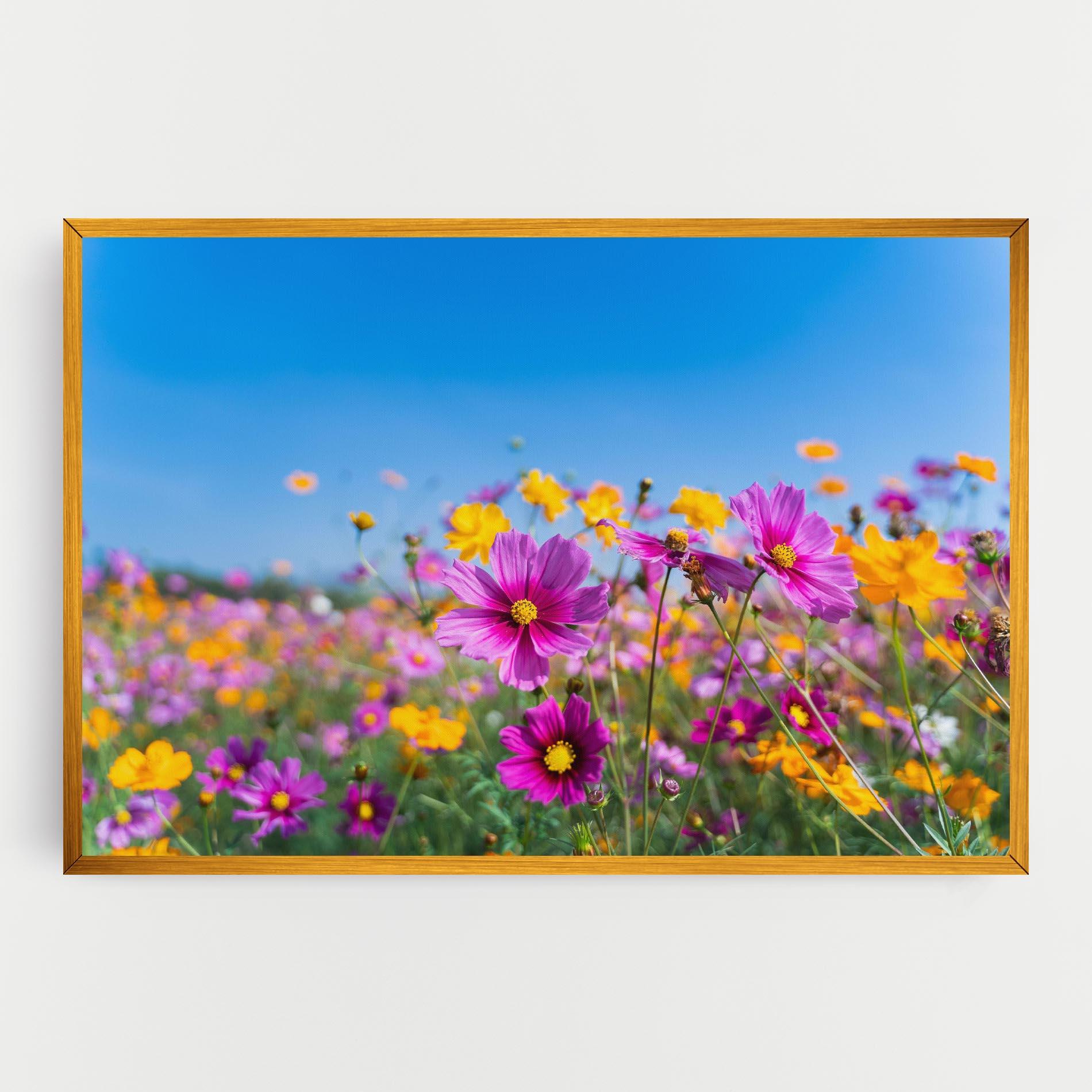 Картина на платно Cosmos Flowers Grassland mockup 0
