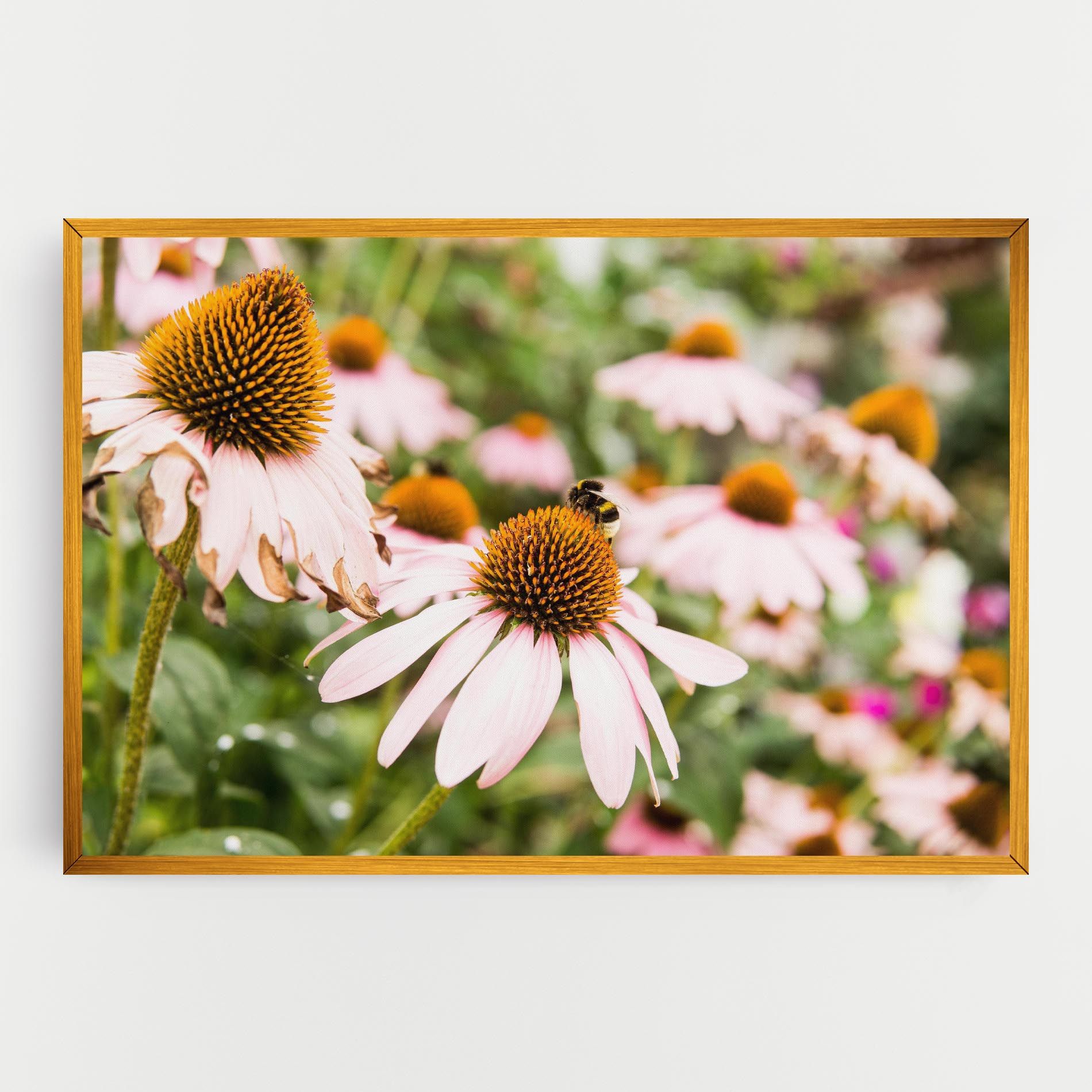 Daylight Bee mockup 0