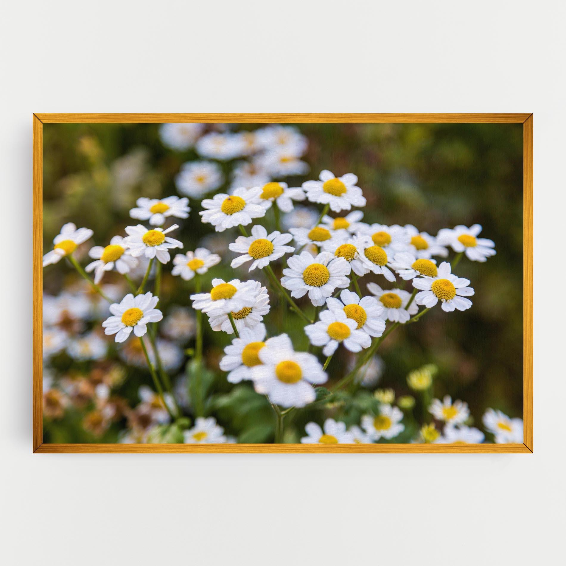 Картина на платно Flowers Garden mockup 0