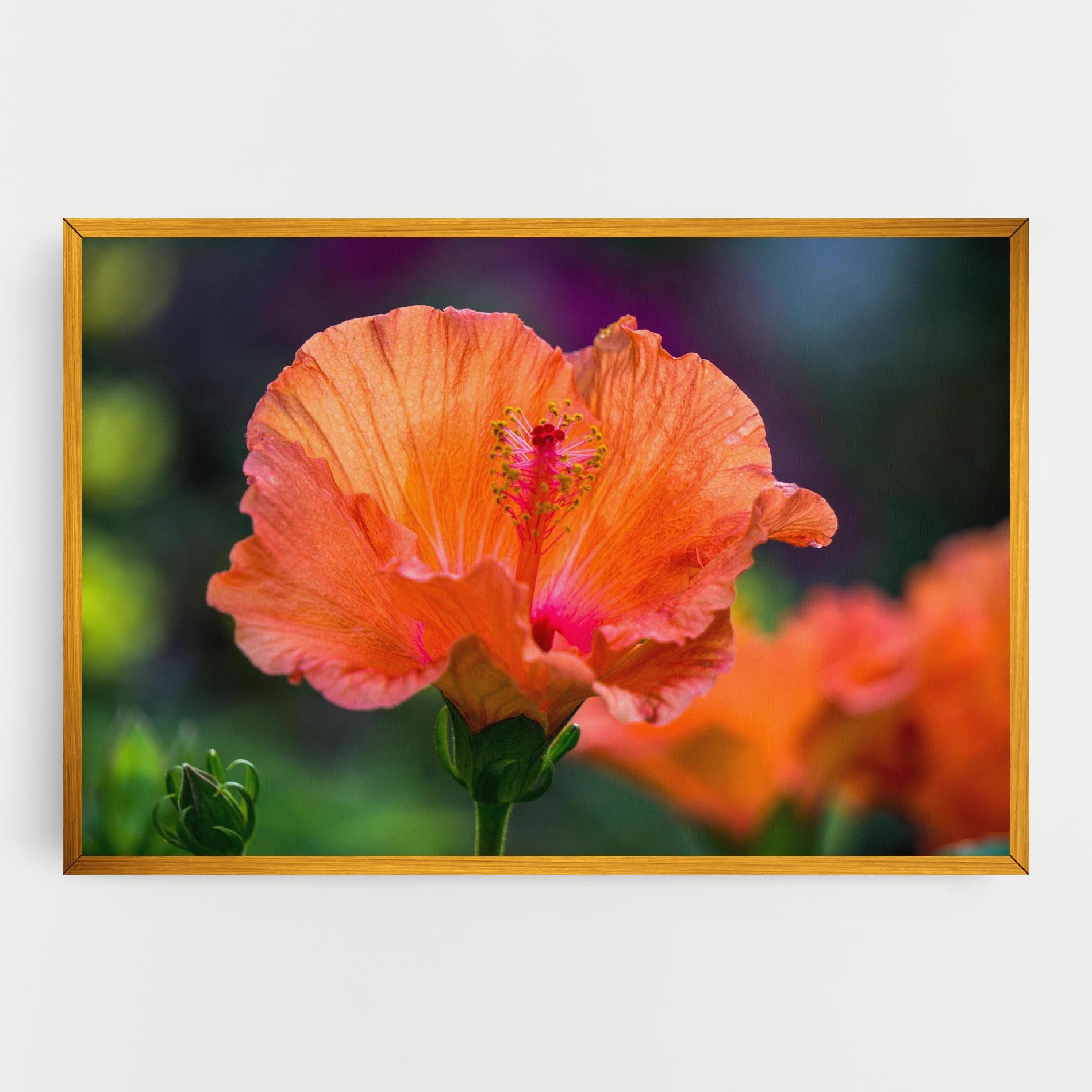 Orange Wild Flower mockup 0