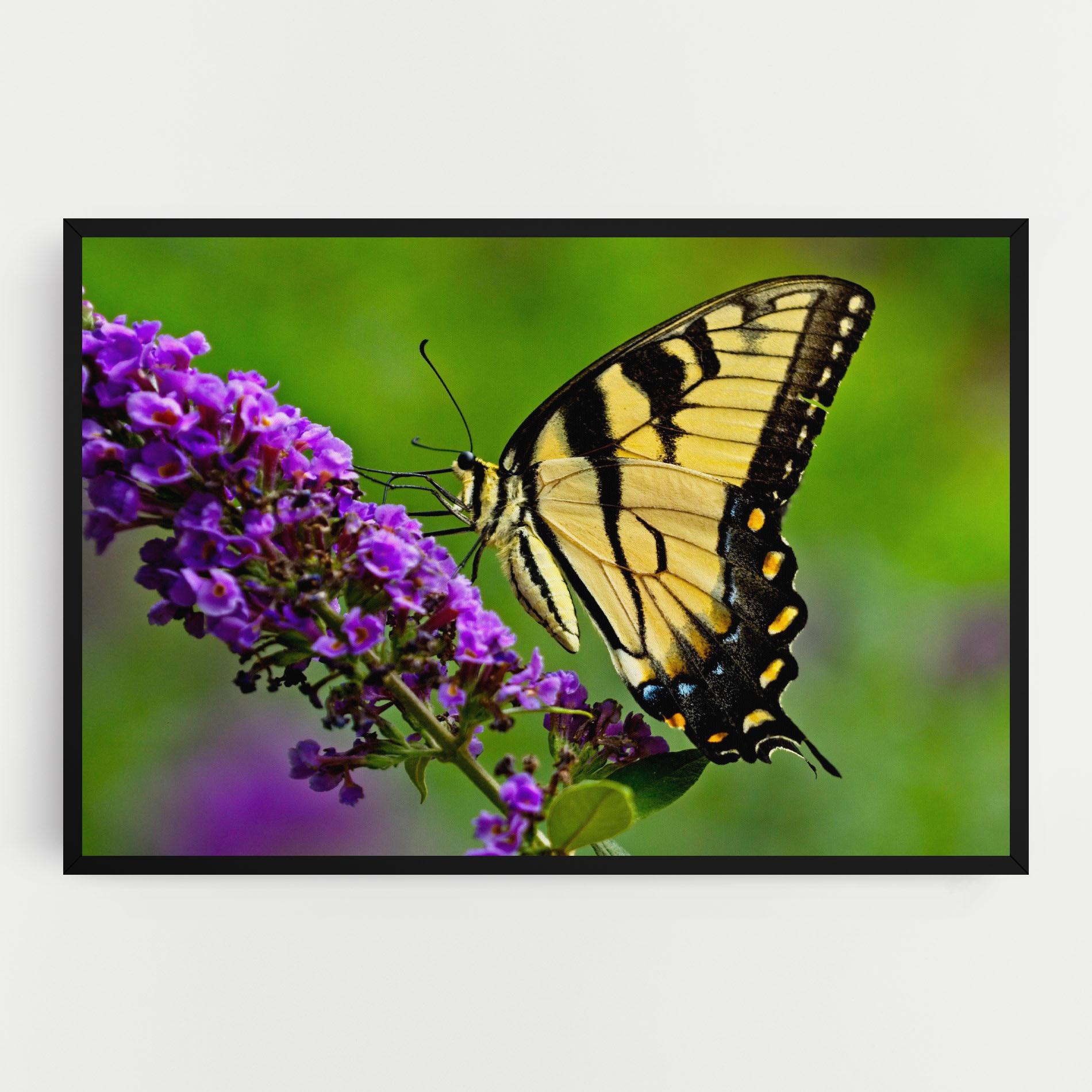 Картина на платно Cream Wild Butterfly mockup 0