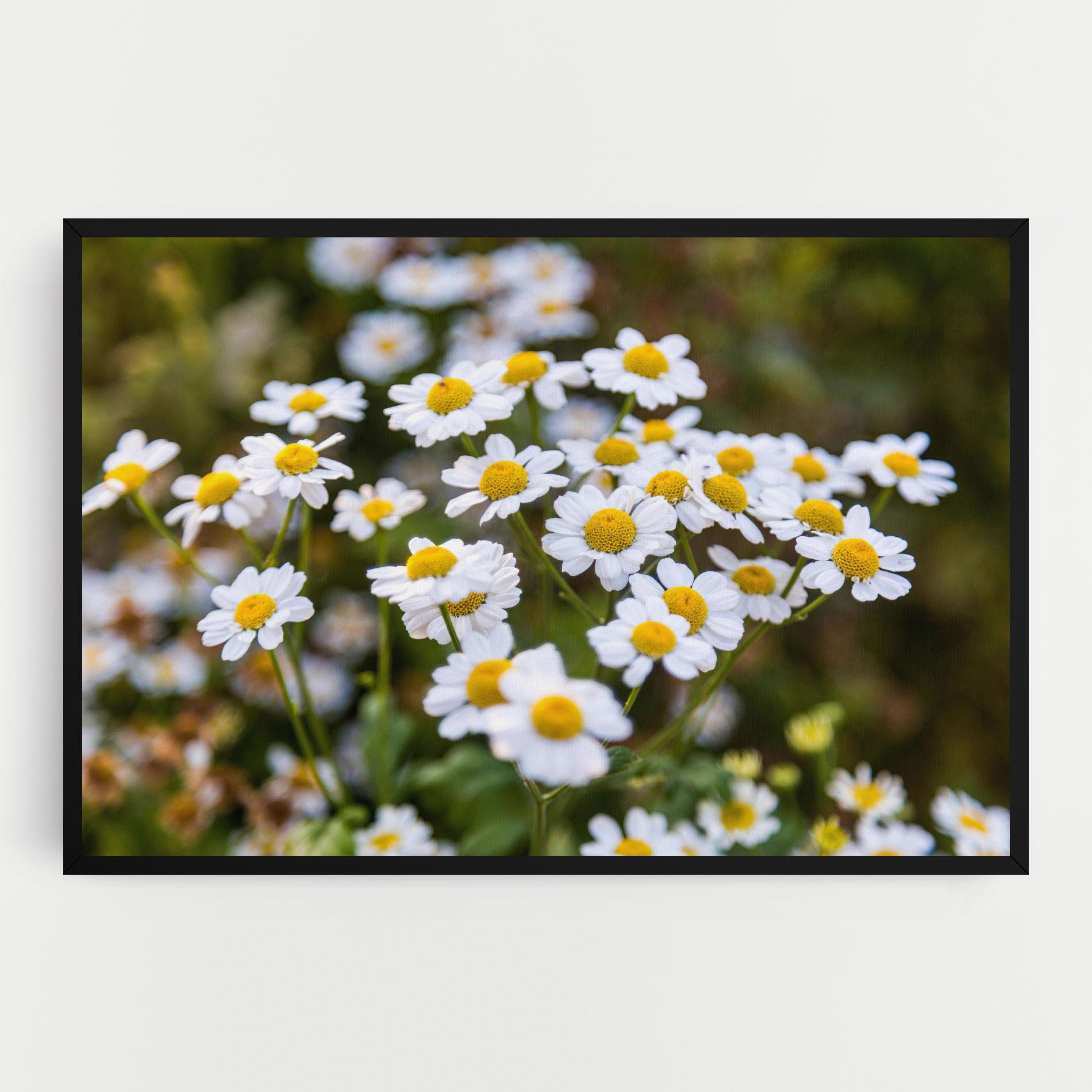 Картина на платно Flowers Garden mockup 0