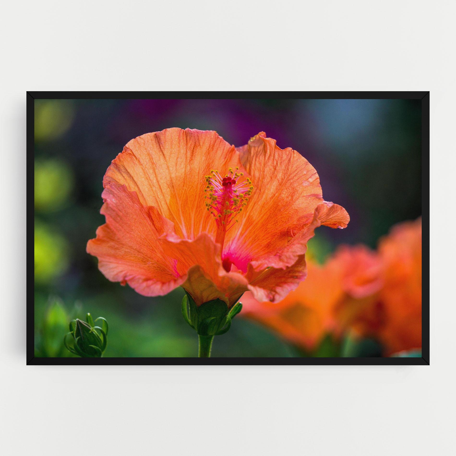Картина на платно Orange Wild Flower mockup 0