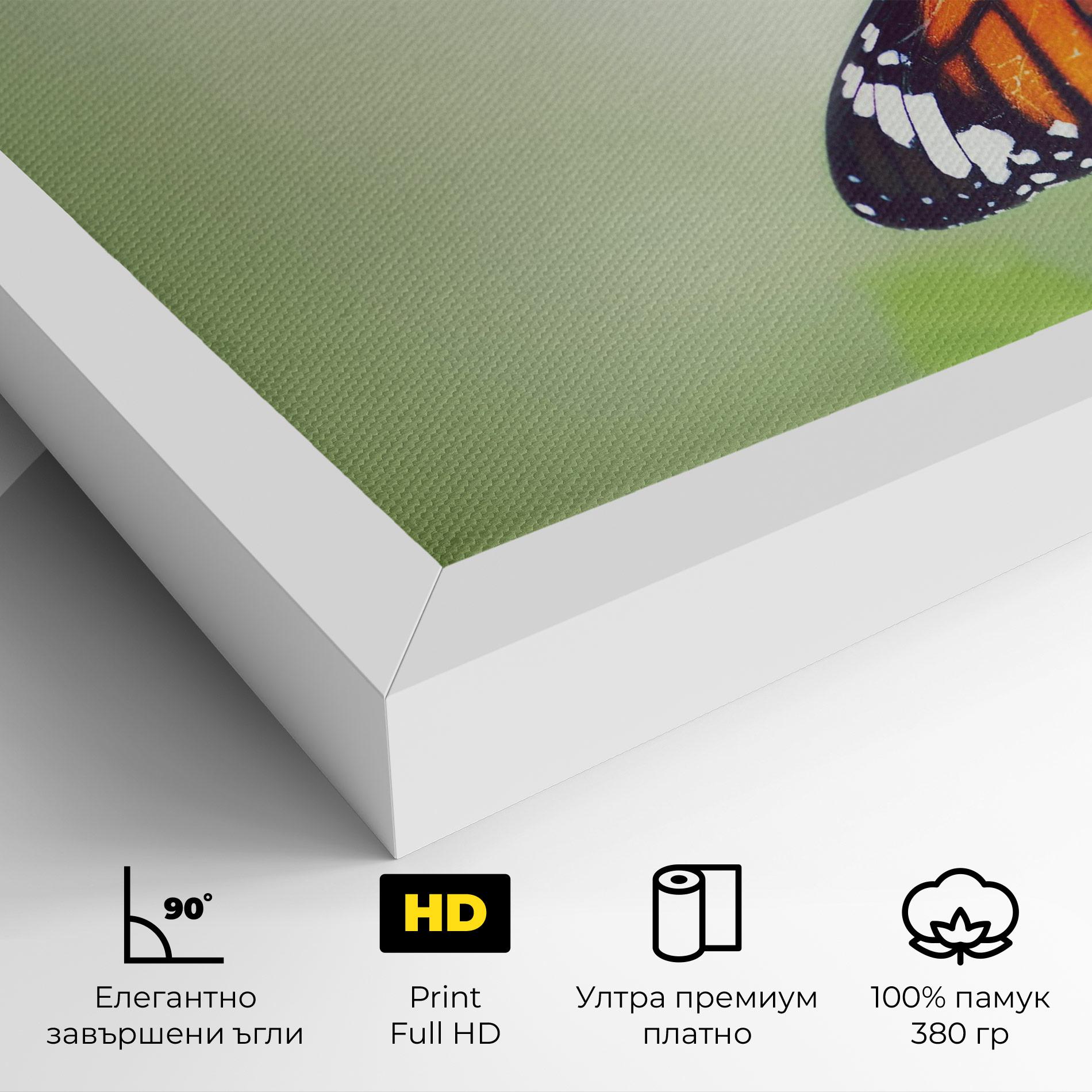 Картина на платно Butterfly Wild Plant mockup 4