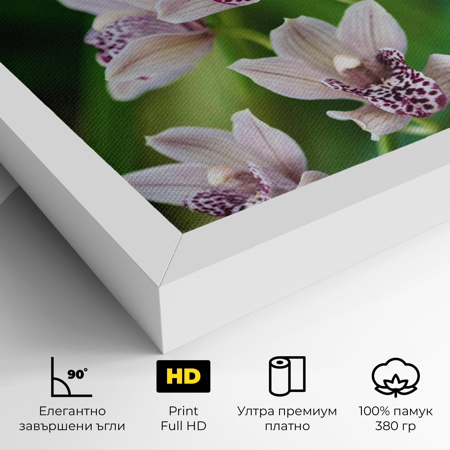 Картина на платно Cymbidium Orchid mockup 4