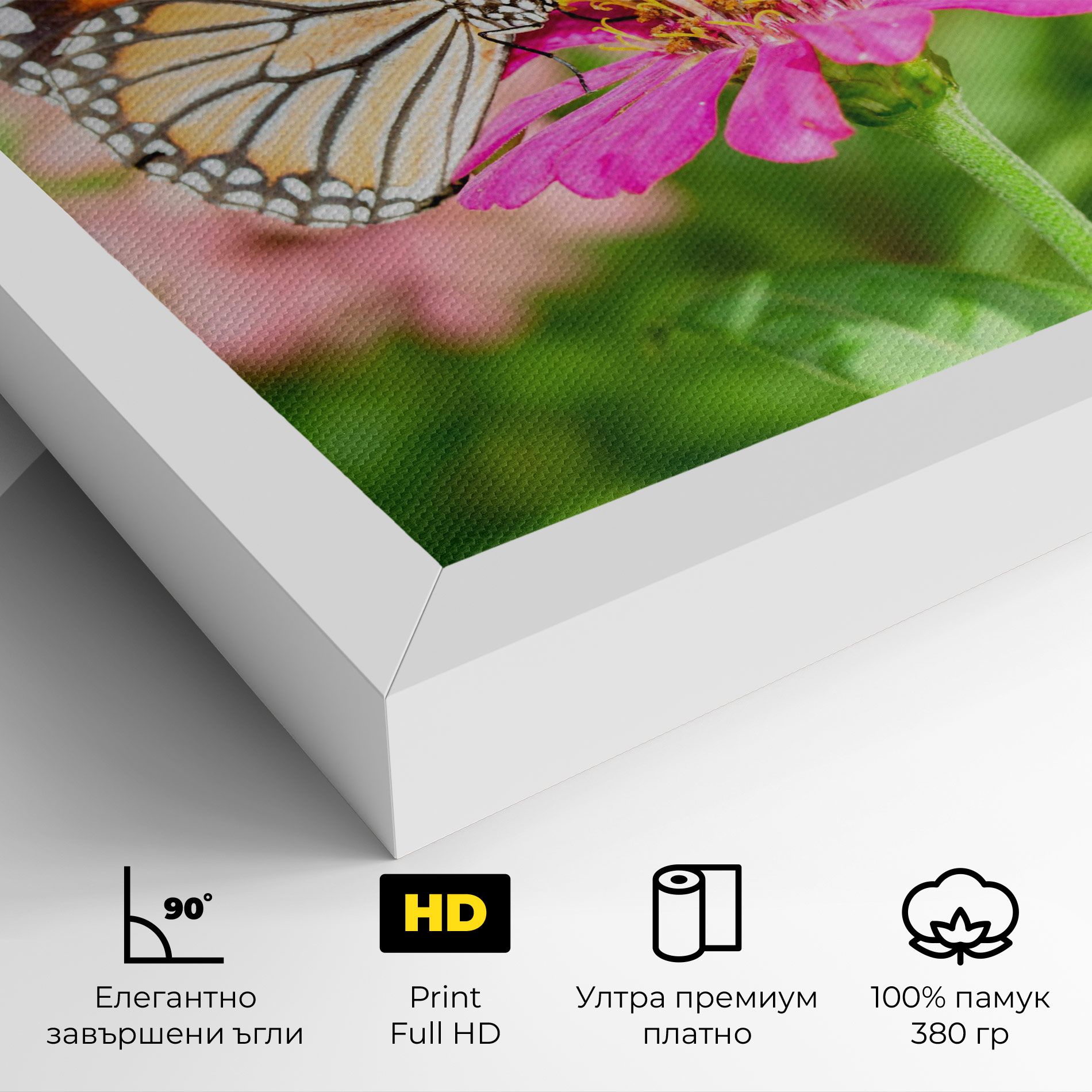 Daylight Butterfly mockup 4
