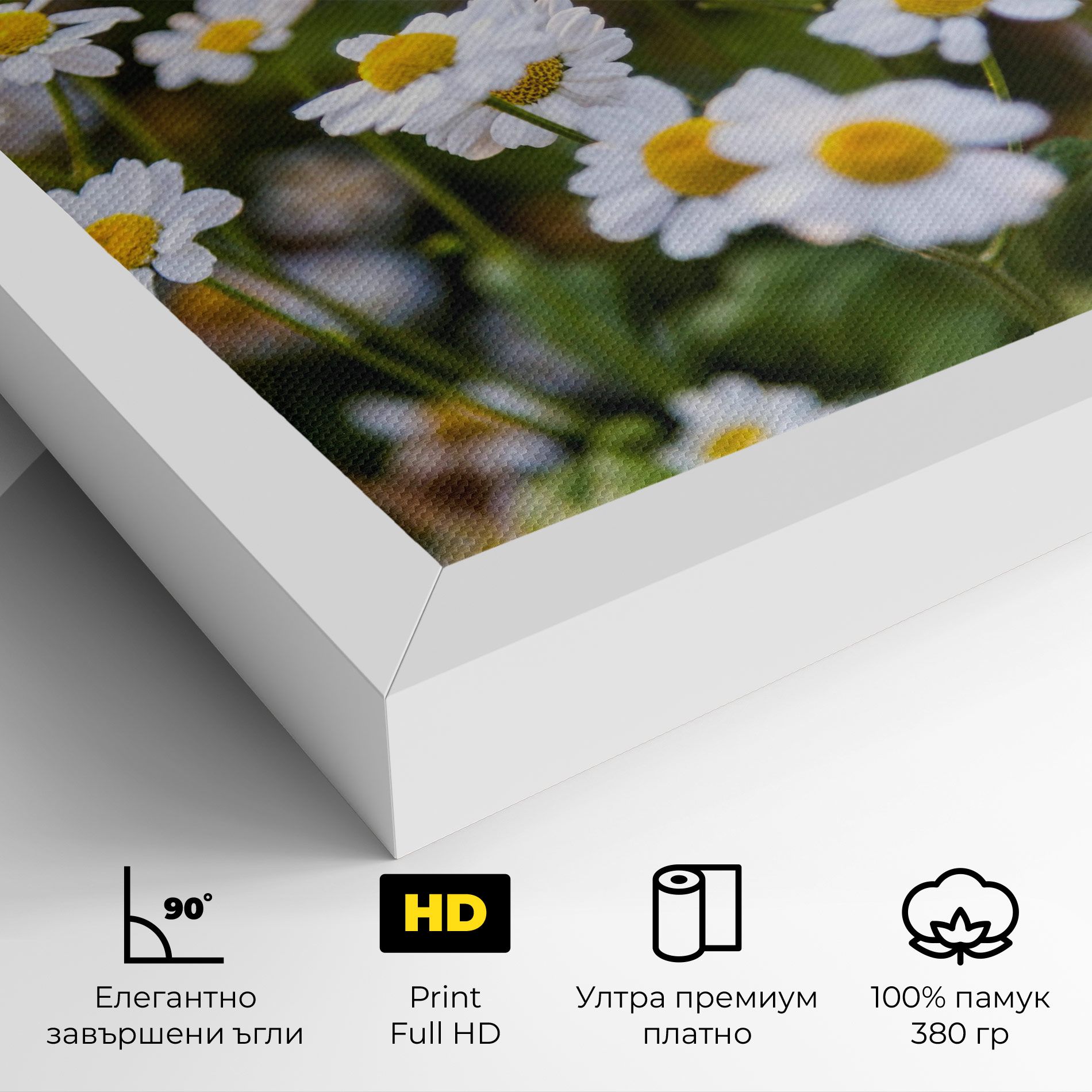 Flowers Garden mockup 4