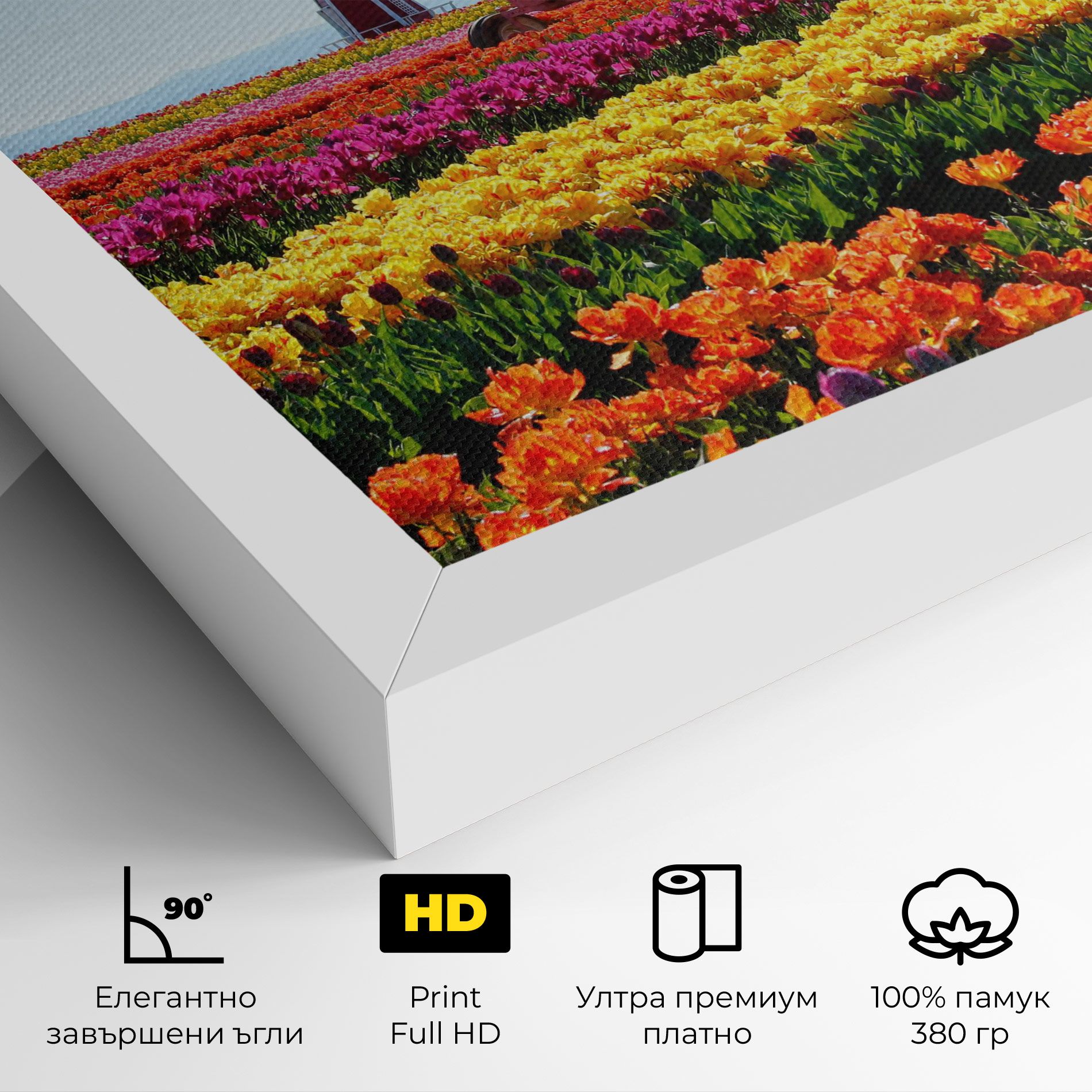 Working Wild Field mockup 4