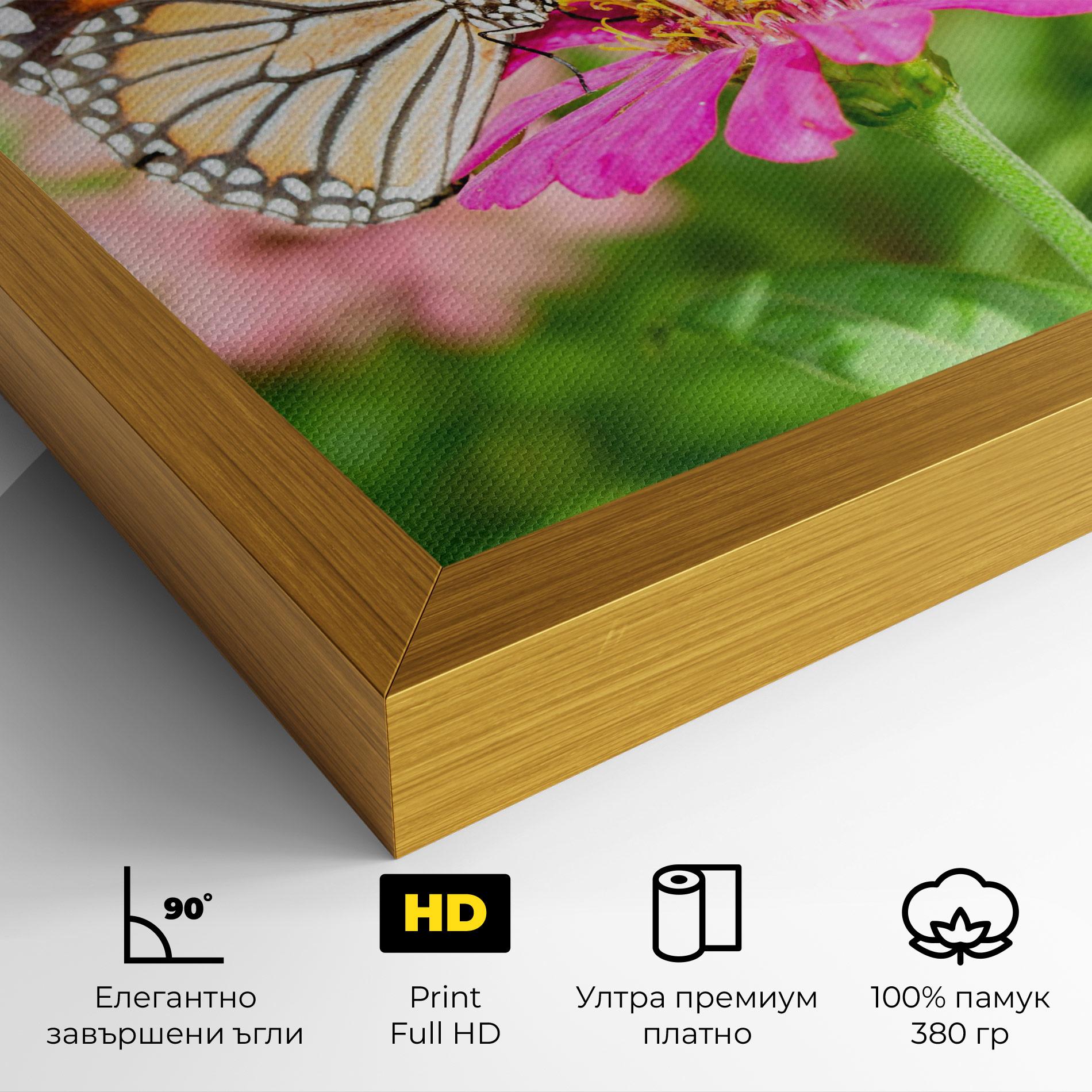 Картина на платно Daylight Butterfly mockup 4
