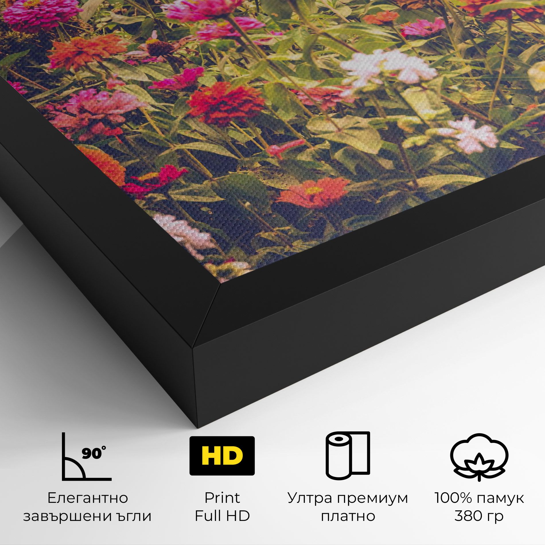 Colorful Wild Field mockup 4
