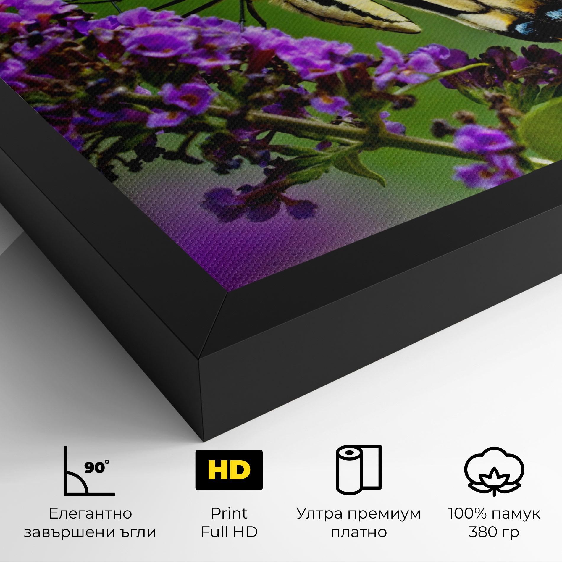 Картина на платно Cream Wild Butterfly mockup 4