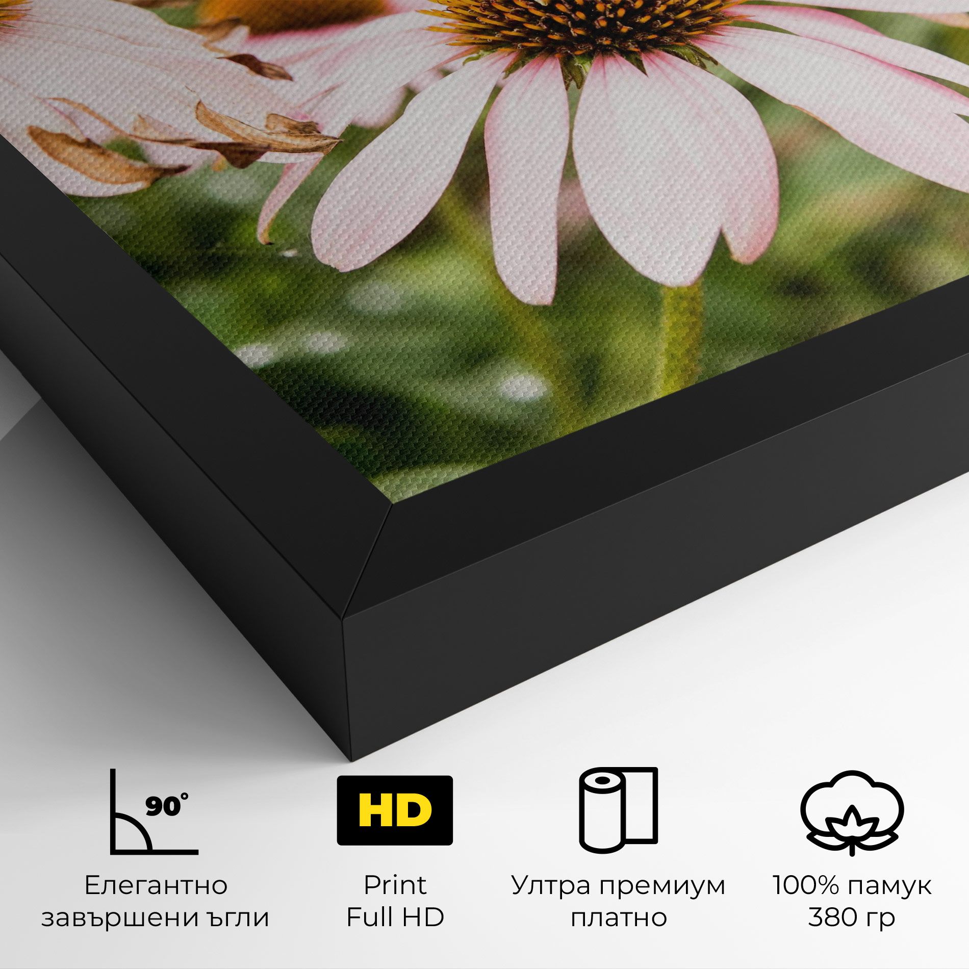 Daylight Bee mockup 4