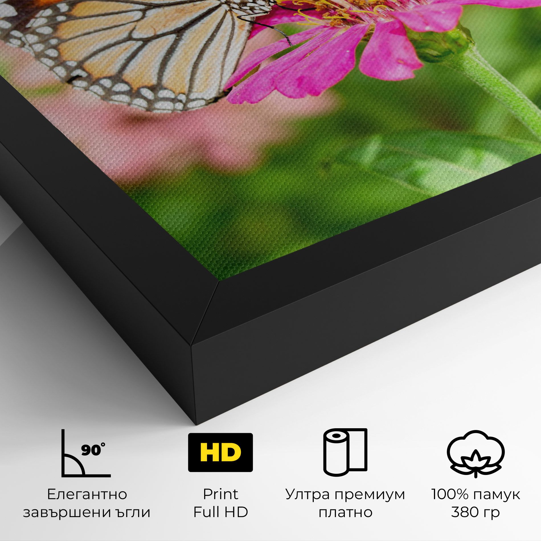 Daylight Butterfly mockup 4