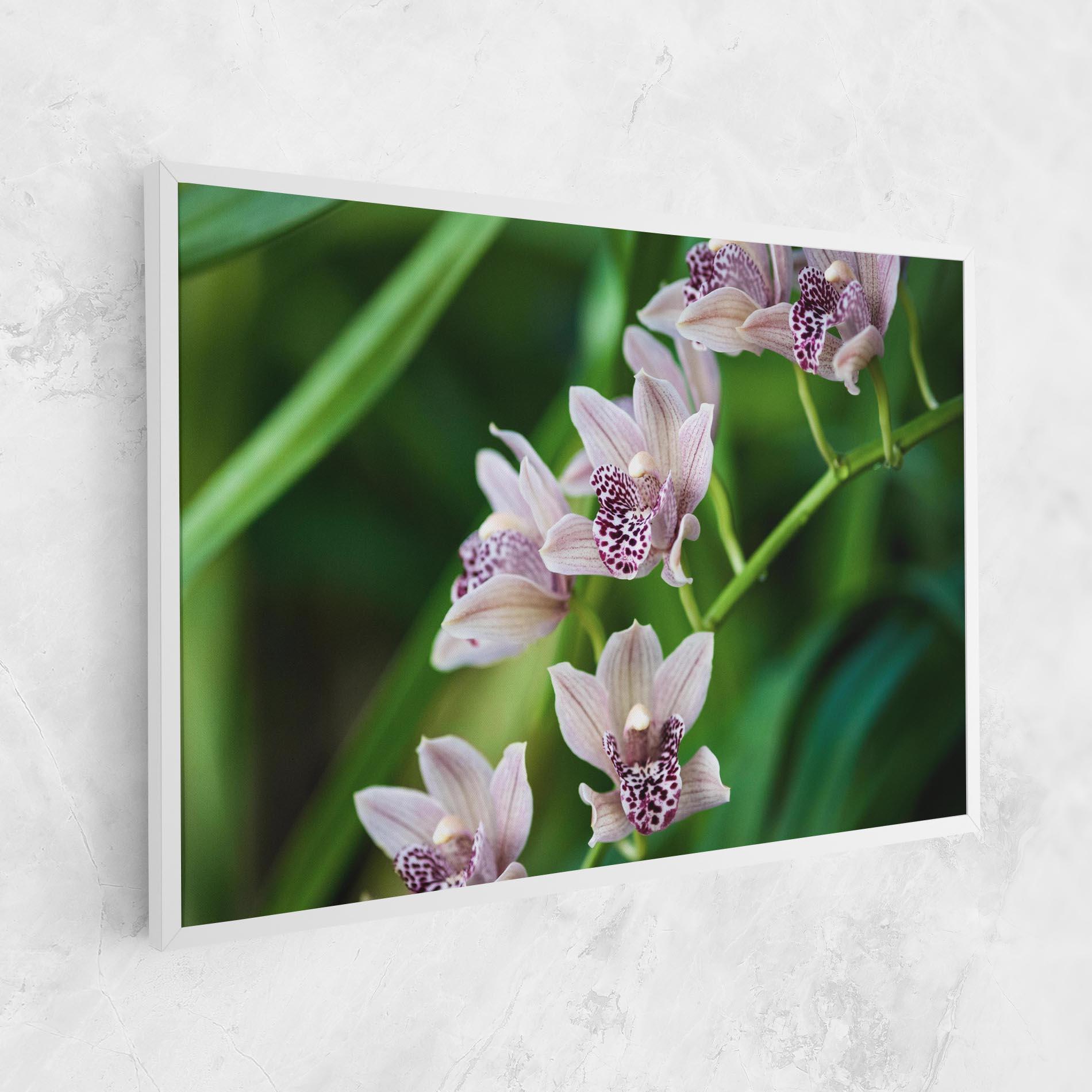 Картина на платно Cymbidium Orchid mockup 1
