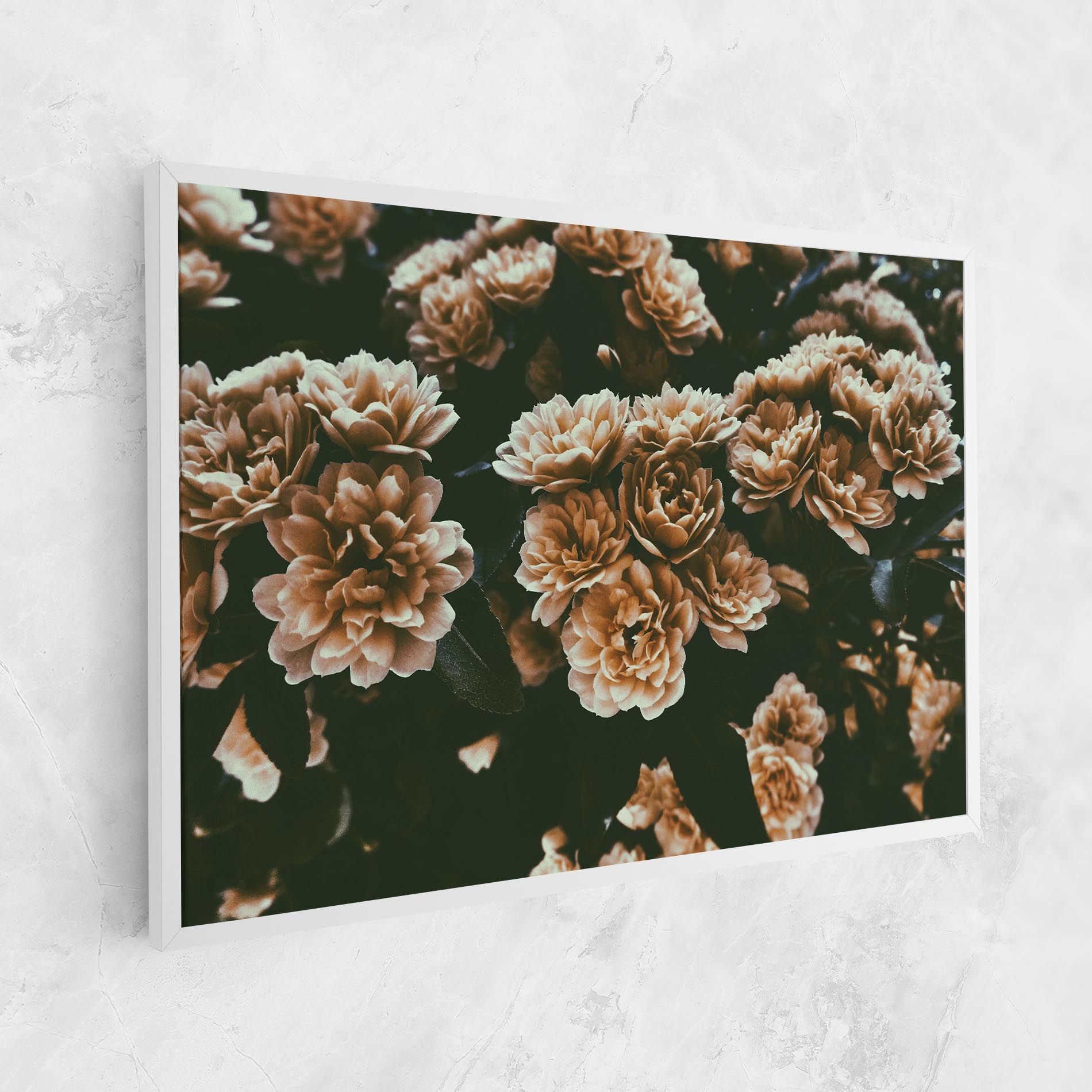 Wild Cream Flower mockup 1