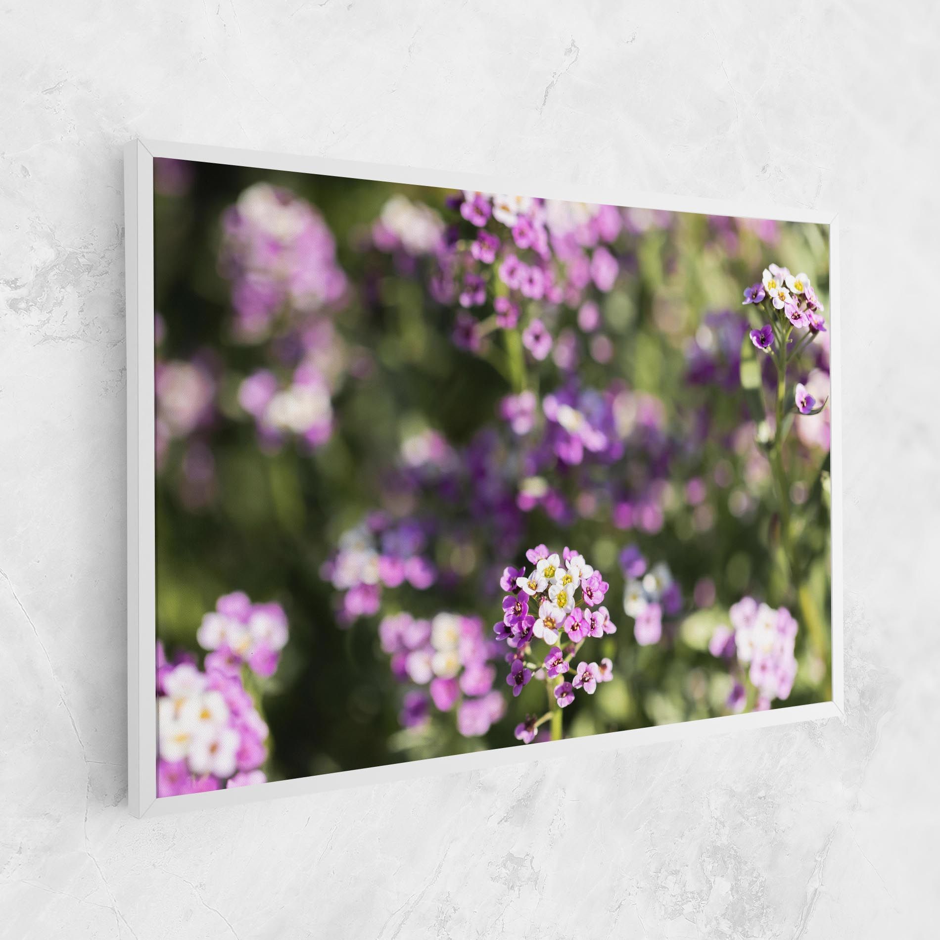 Wild Purple Field mockup 1