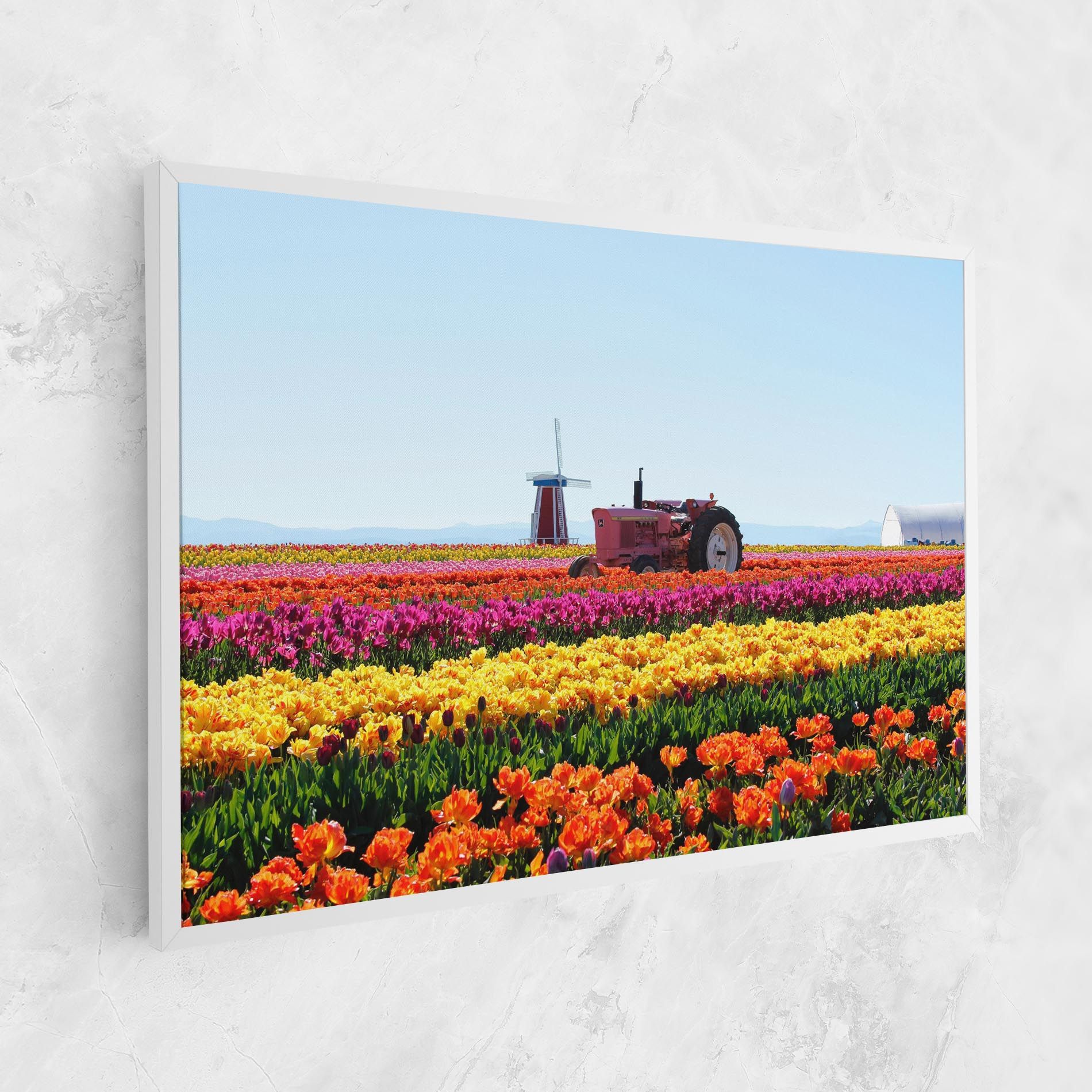 Working Wild Field mockup 1