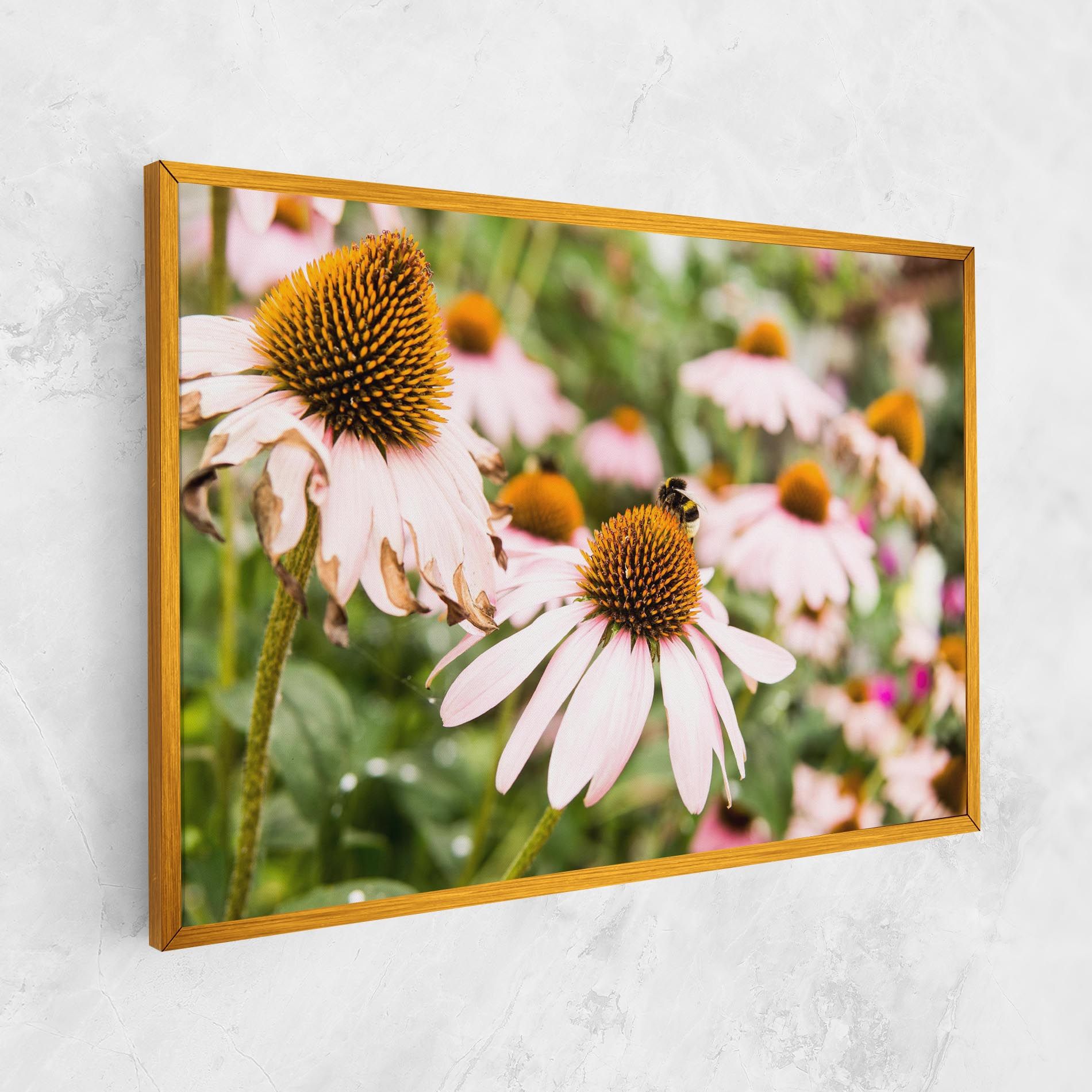 Daylight Bee mockup 1