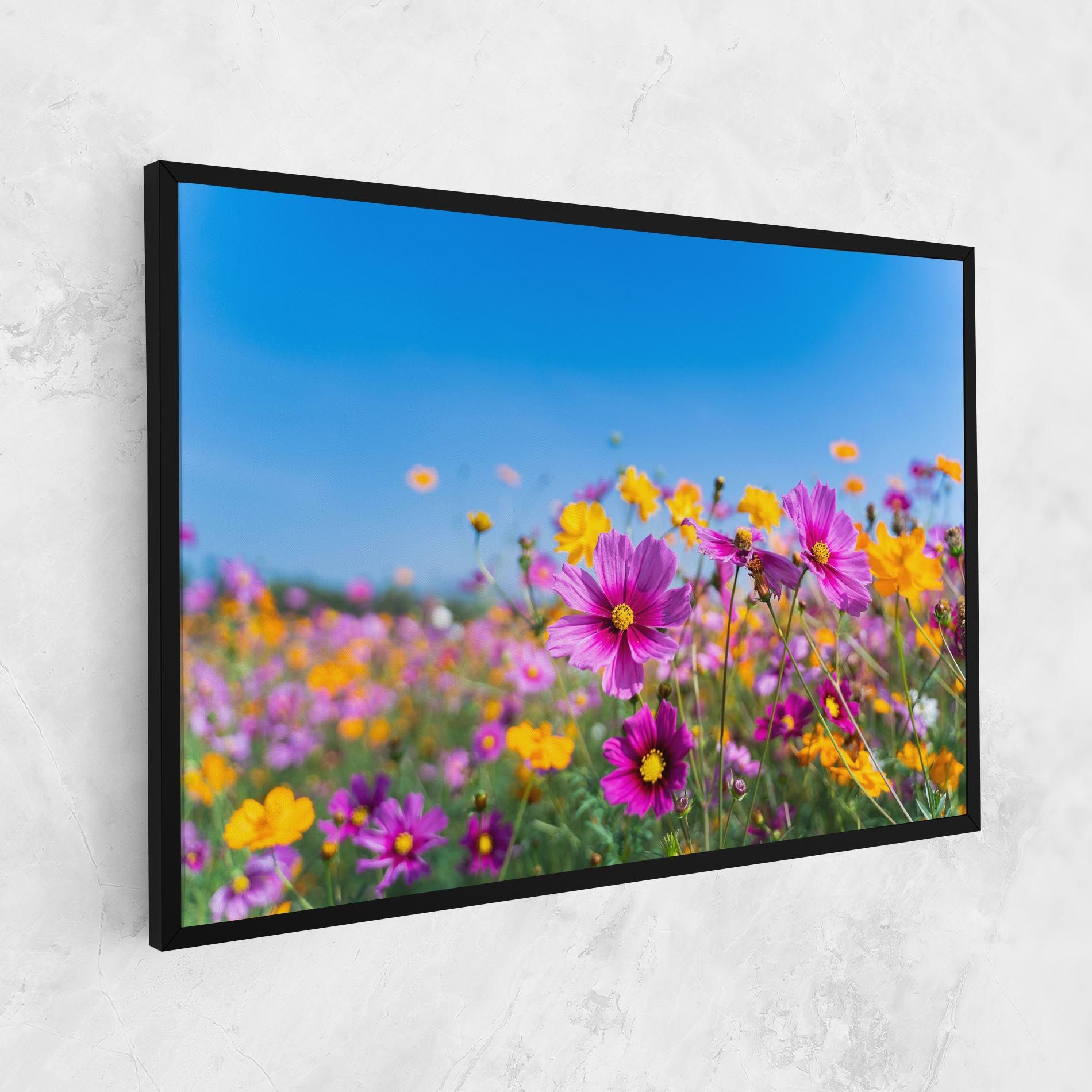 Cosmos Flowers Grassland mockup 1