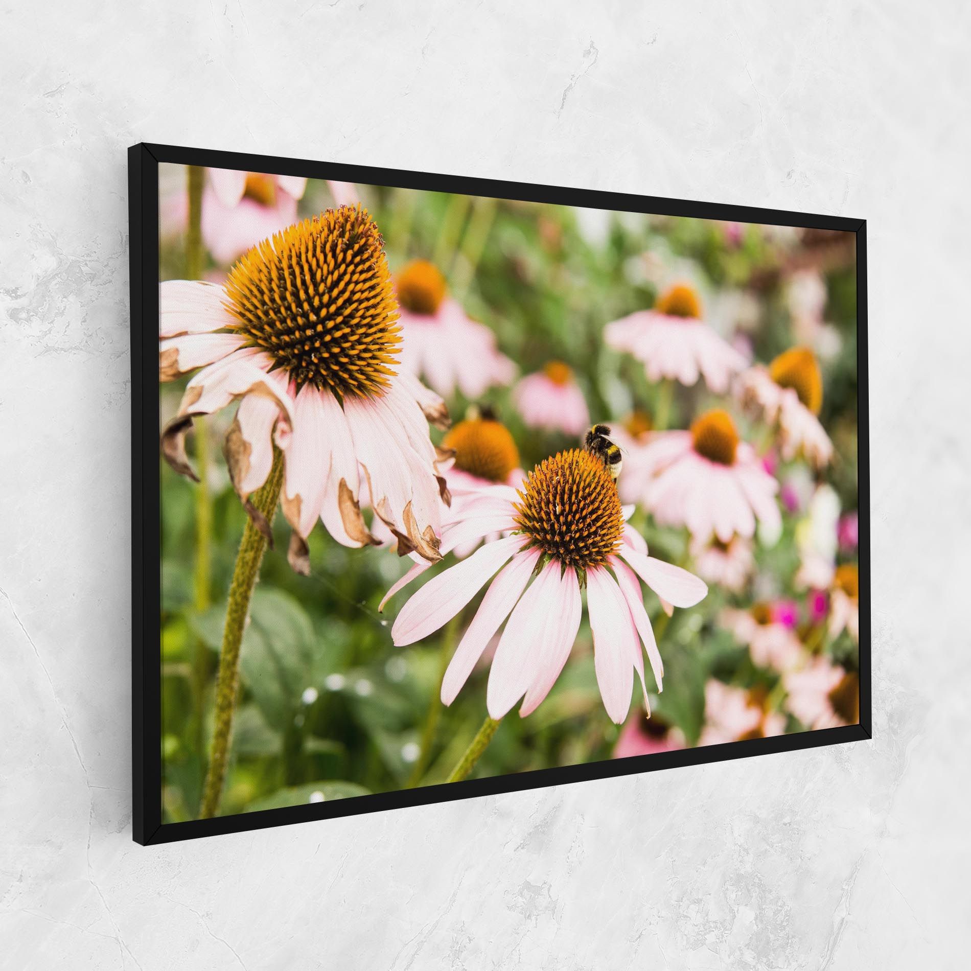 Daylight Bee mockup 1