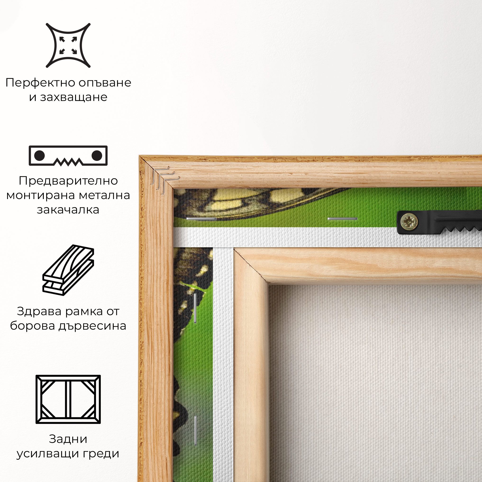 Cream Wild Butterfly mockup 5