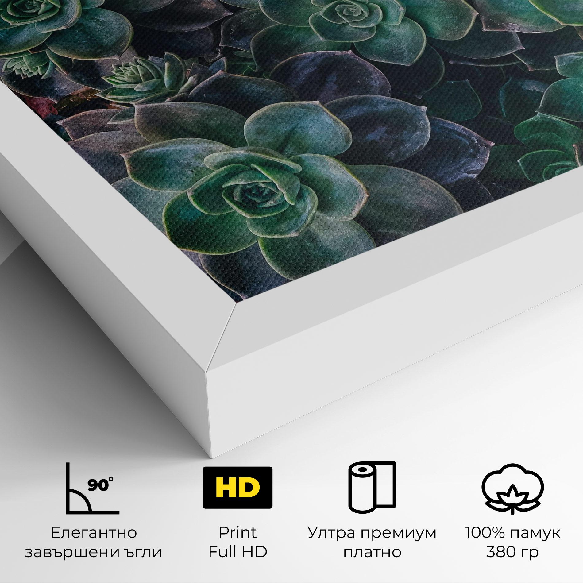 Картина на платно Green Lilac Tree mockup 4