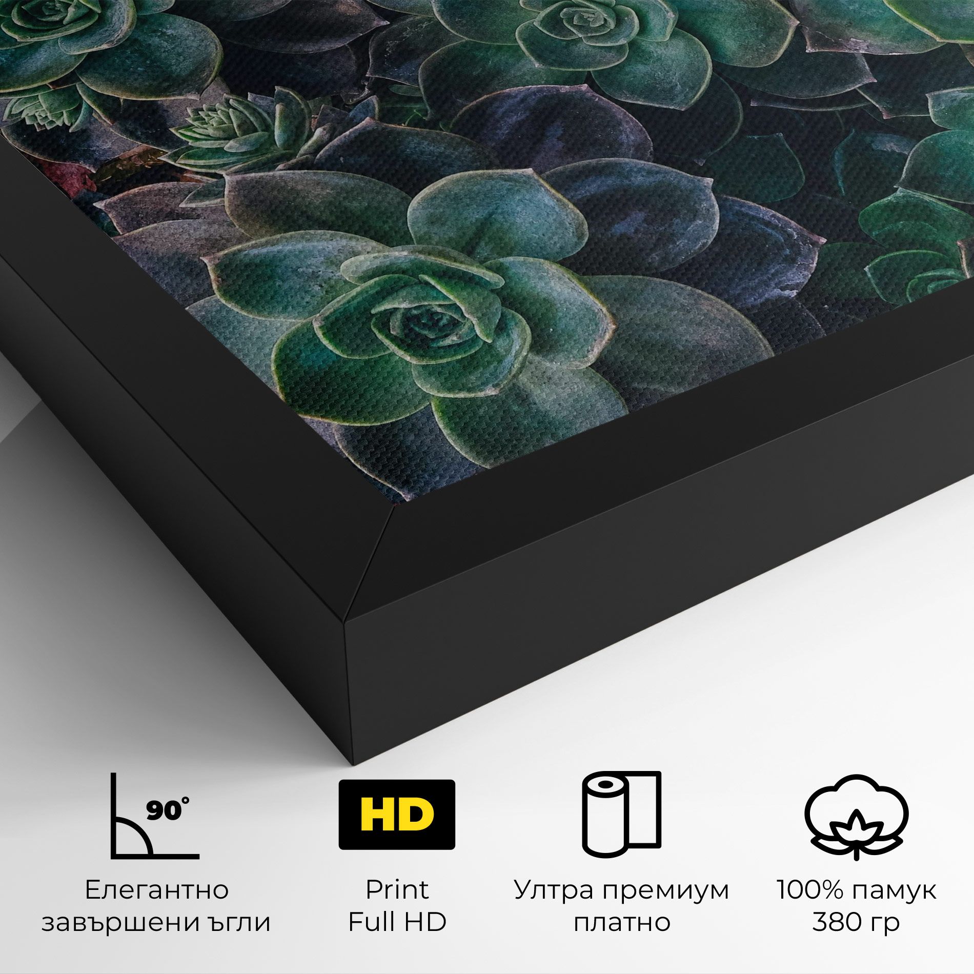 Green Lilac Tree mockup 4