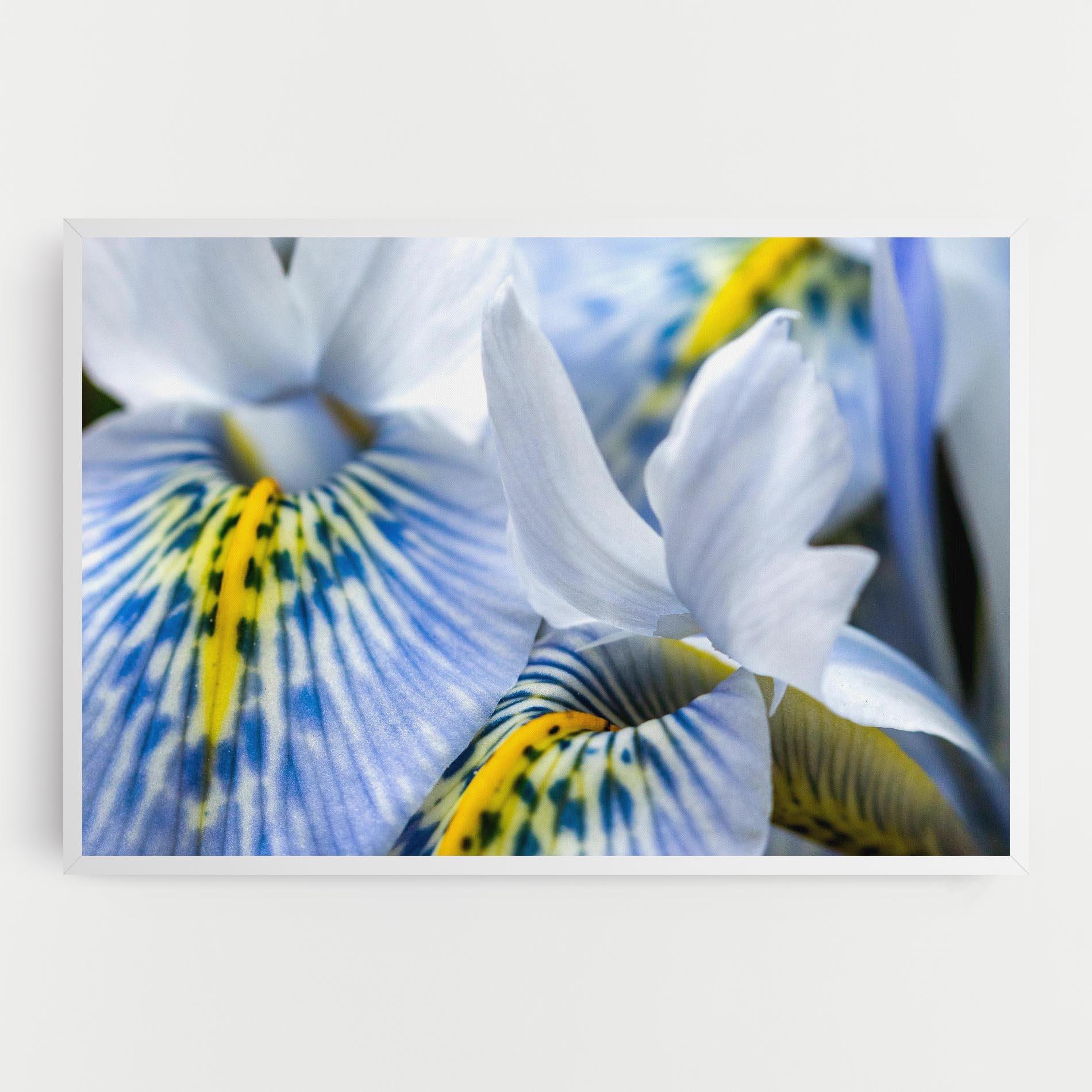 Картина на платно Blue Yellow Iris mockup 0
