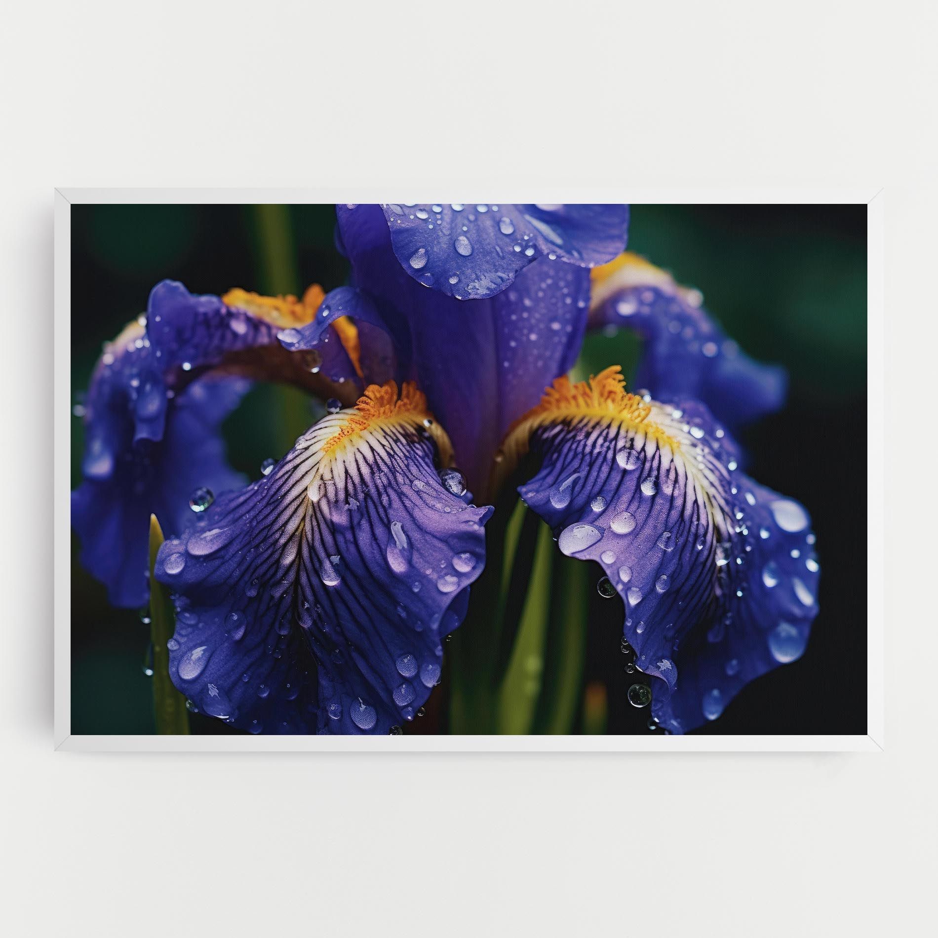 Iris After Rain mockup 0
