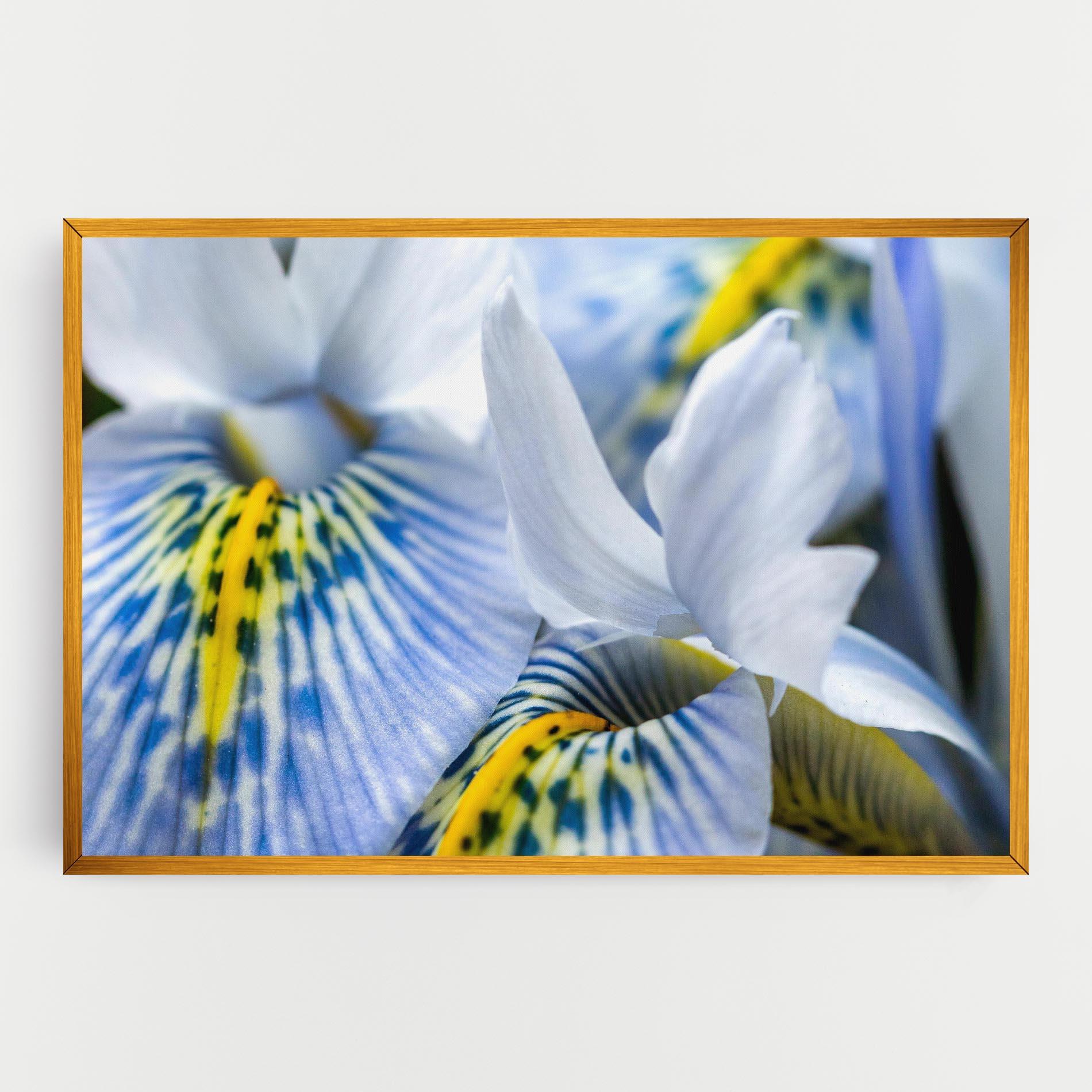 Картина на платно Blue Yellow Iris mockup 0