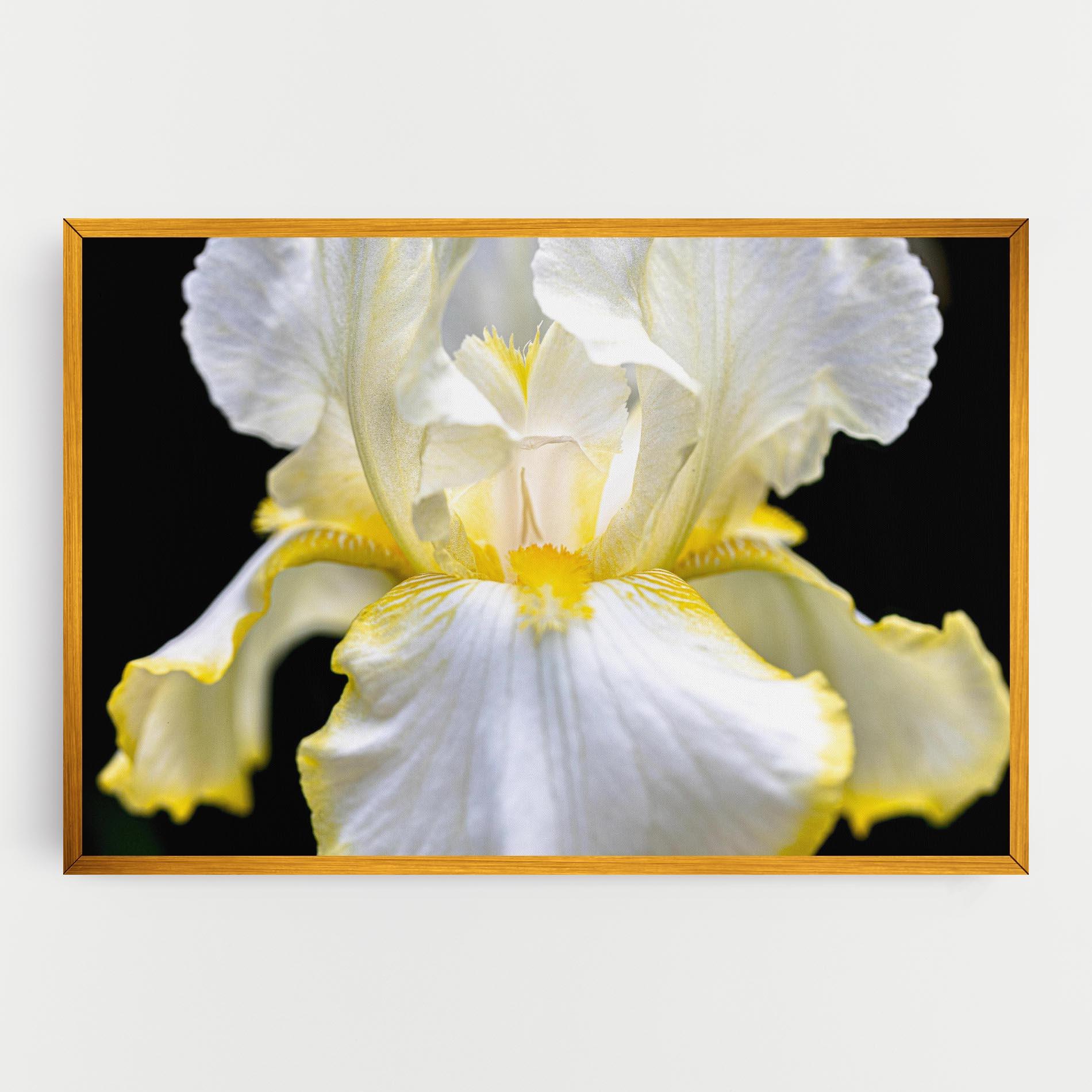 Картина на платно White Yellow Iris mockup 0