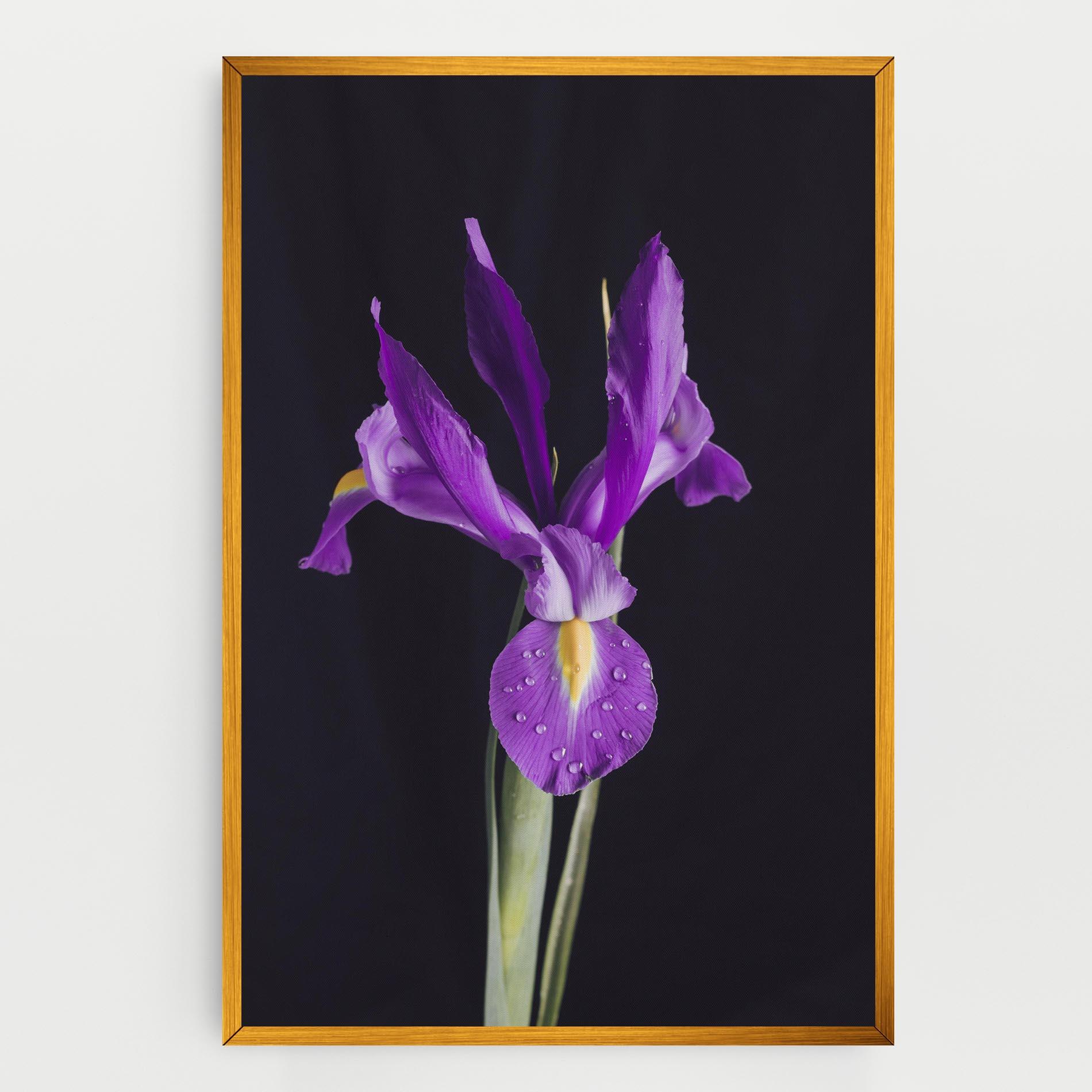 Картина на платно Fresh Purple Iris mockup 0