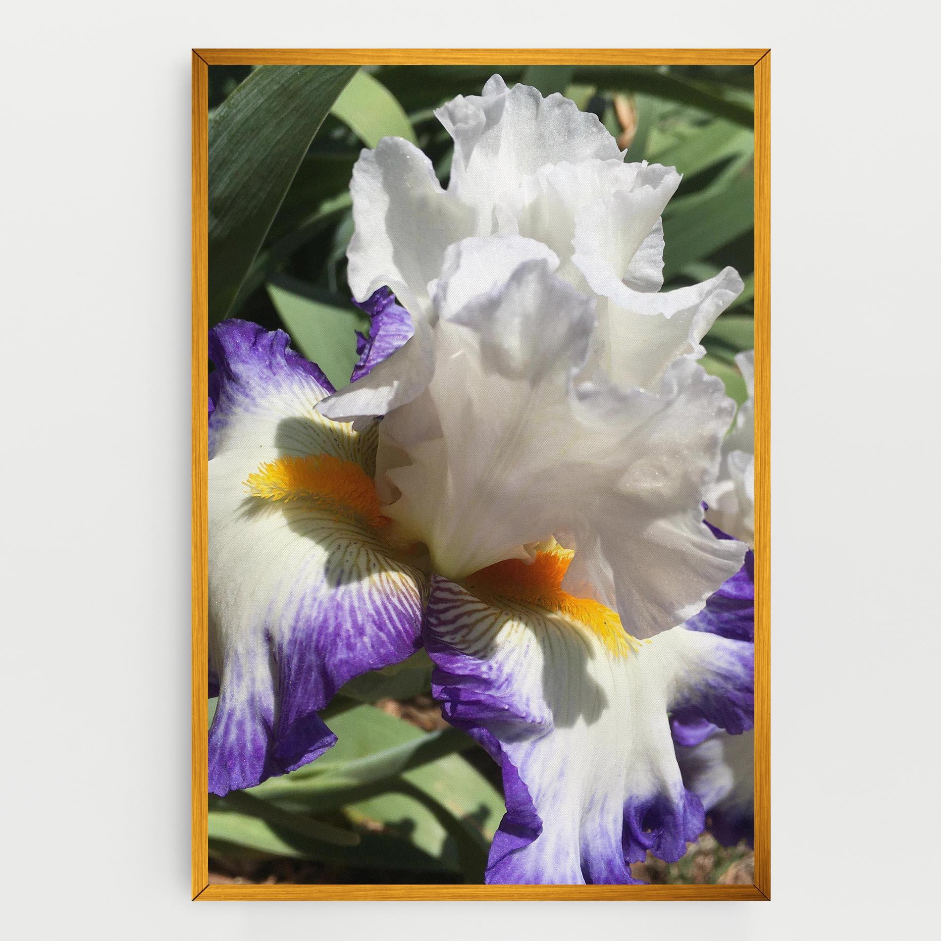 Картина на платно Garden White Purple Irirs mockup 0