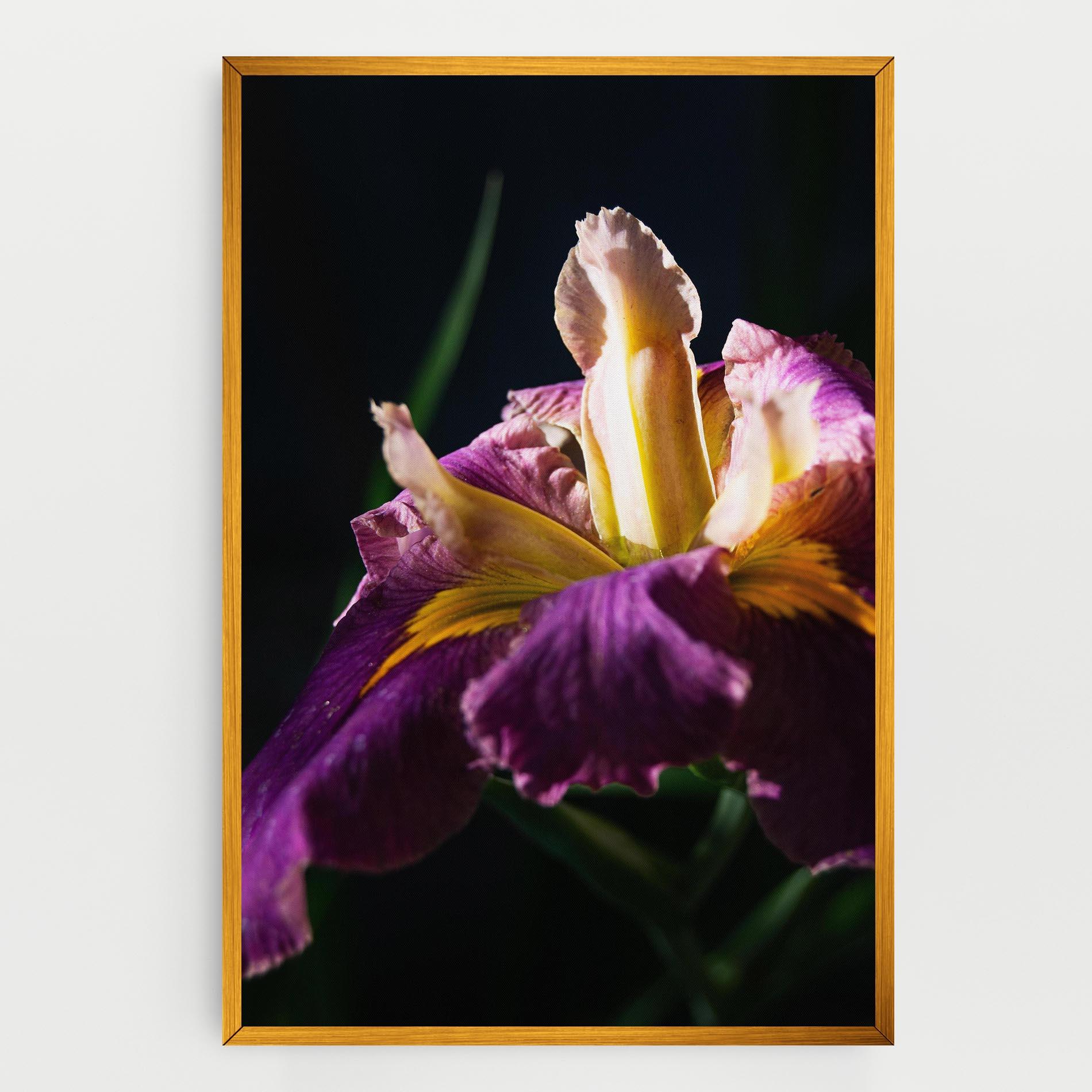 Картина на платно Pastel Yellow Iris mockup 0