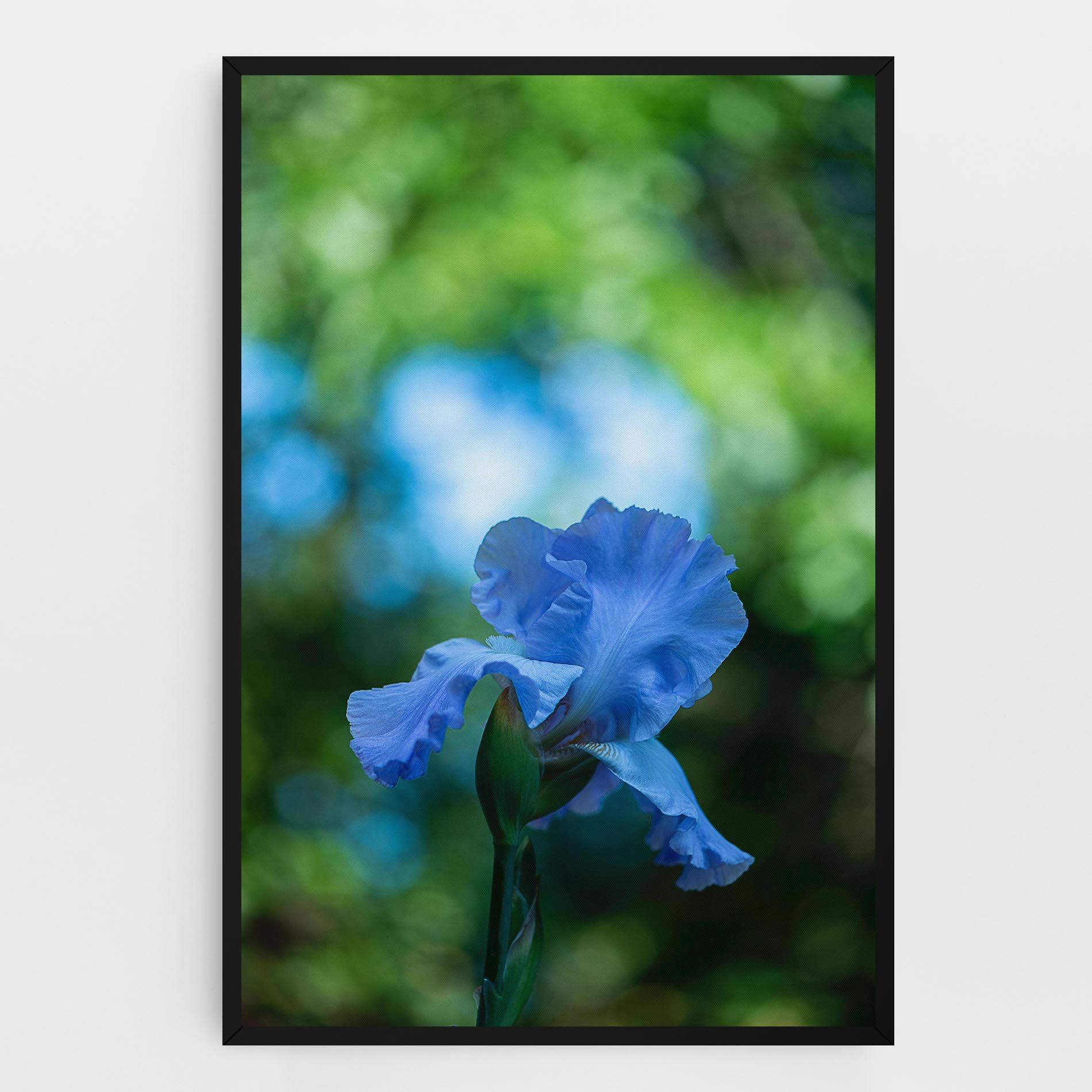 Blue Iris In The Garden mockup 0