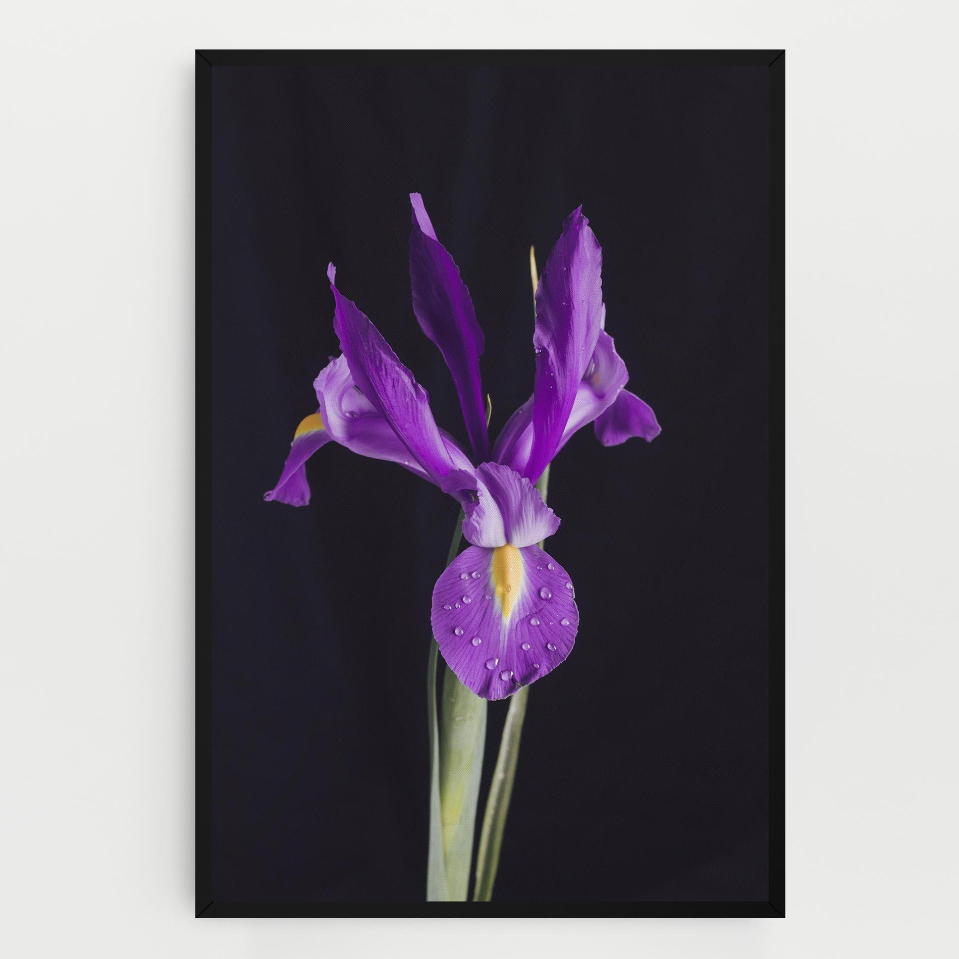Картина на платно Fresh Purple Iris mockup 0