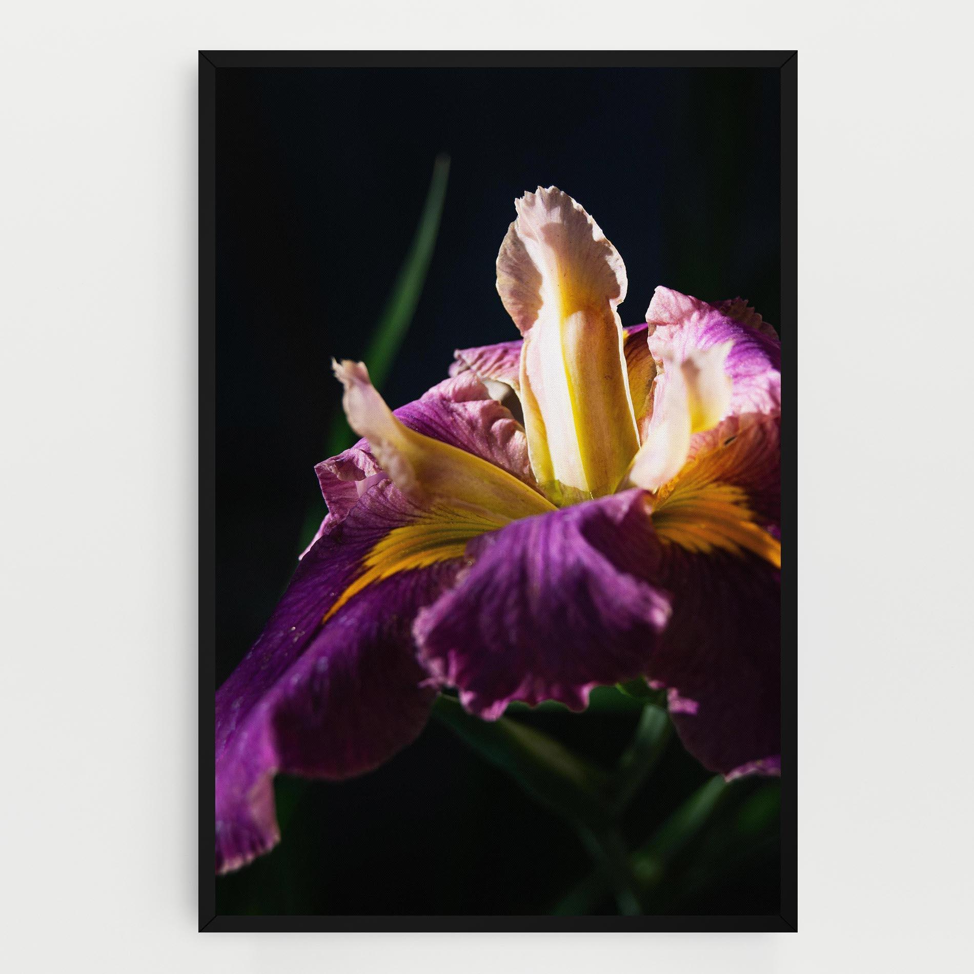 Картина на платно Pastel Yellow Iris mockup 0