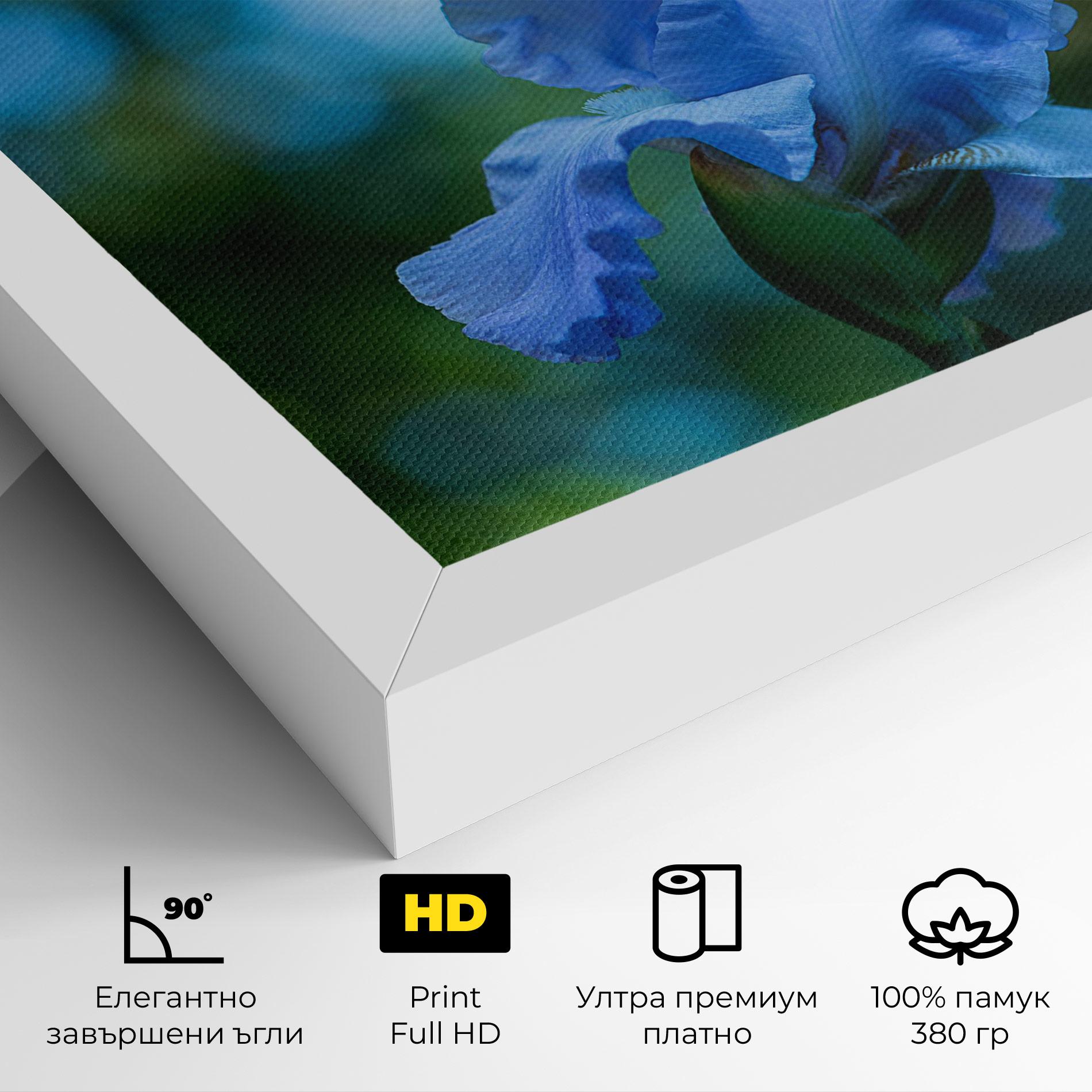 Картина на платно Blue Iris In The Garden mockup 4