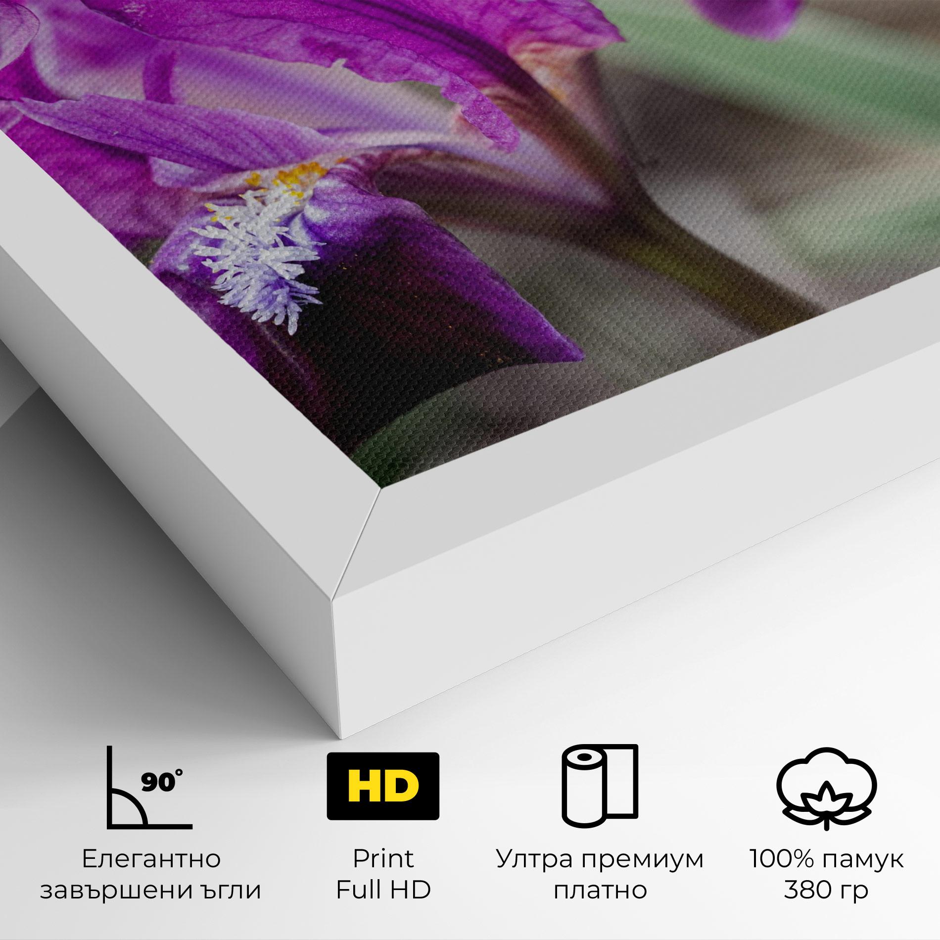 Картина на платно Dark Pink Iris mockup 4