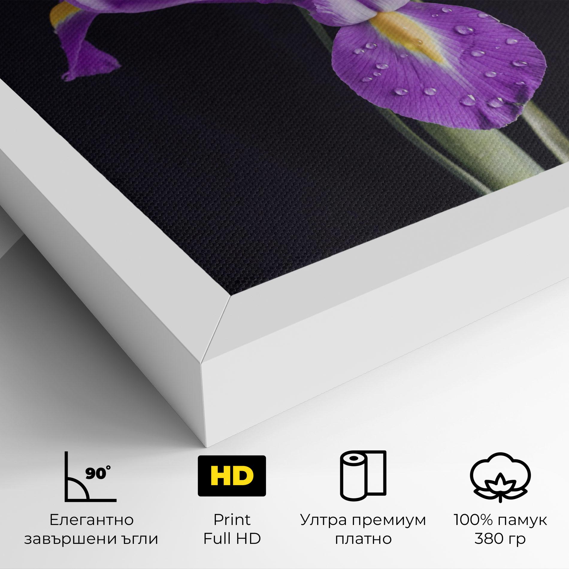 Картина на платно Fresh Purple Iris mockup 4